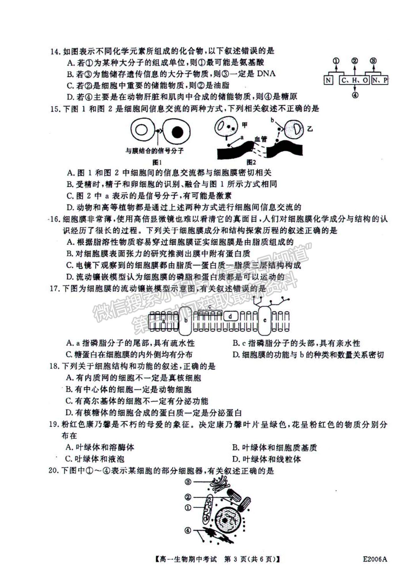 2022黑龍江省“五校聯(lián)誼”高一上學期期中聯(lián)考生物試題及參考答案