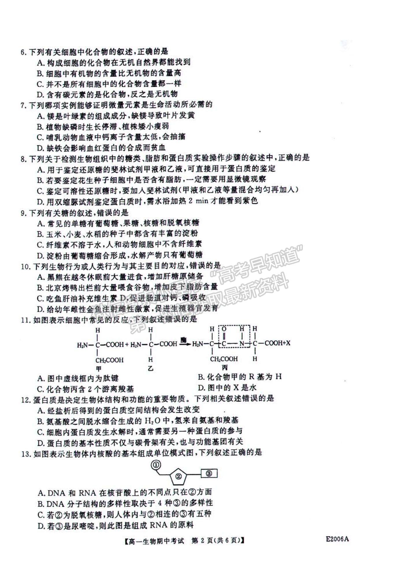 2022黑龍江省“五校聯(lián)誼”高一上學(xué)期期中聯(lián)考生物試題及參考答案