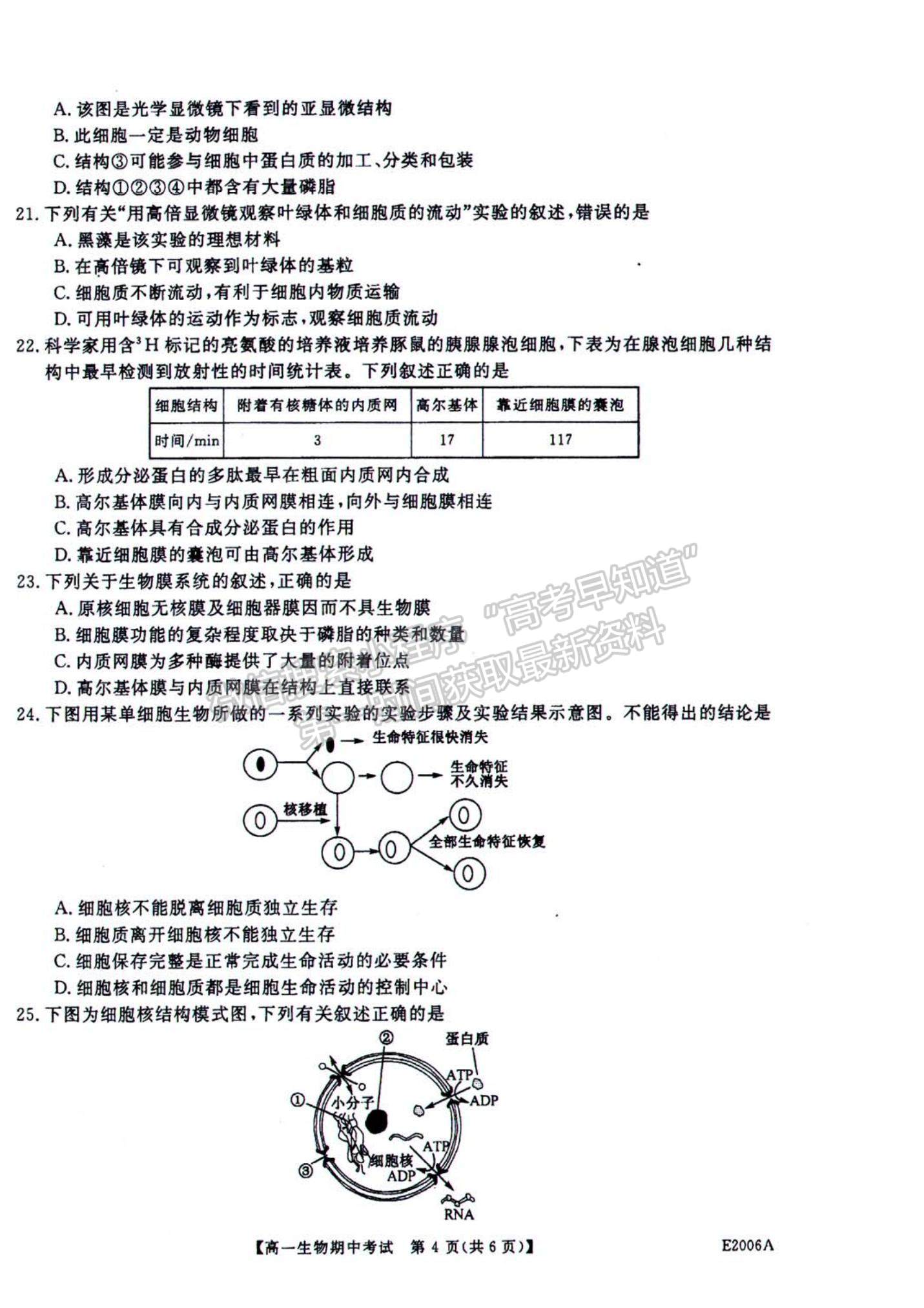 2022黑龍江省“五校聯(lián)誼”高一上學(xué)期期中聯(lián)考生物試題及參考答案