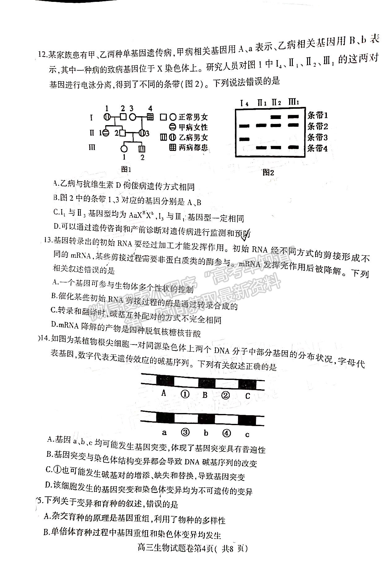 2022淮北一模生物試卷及答案