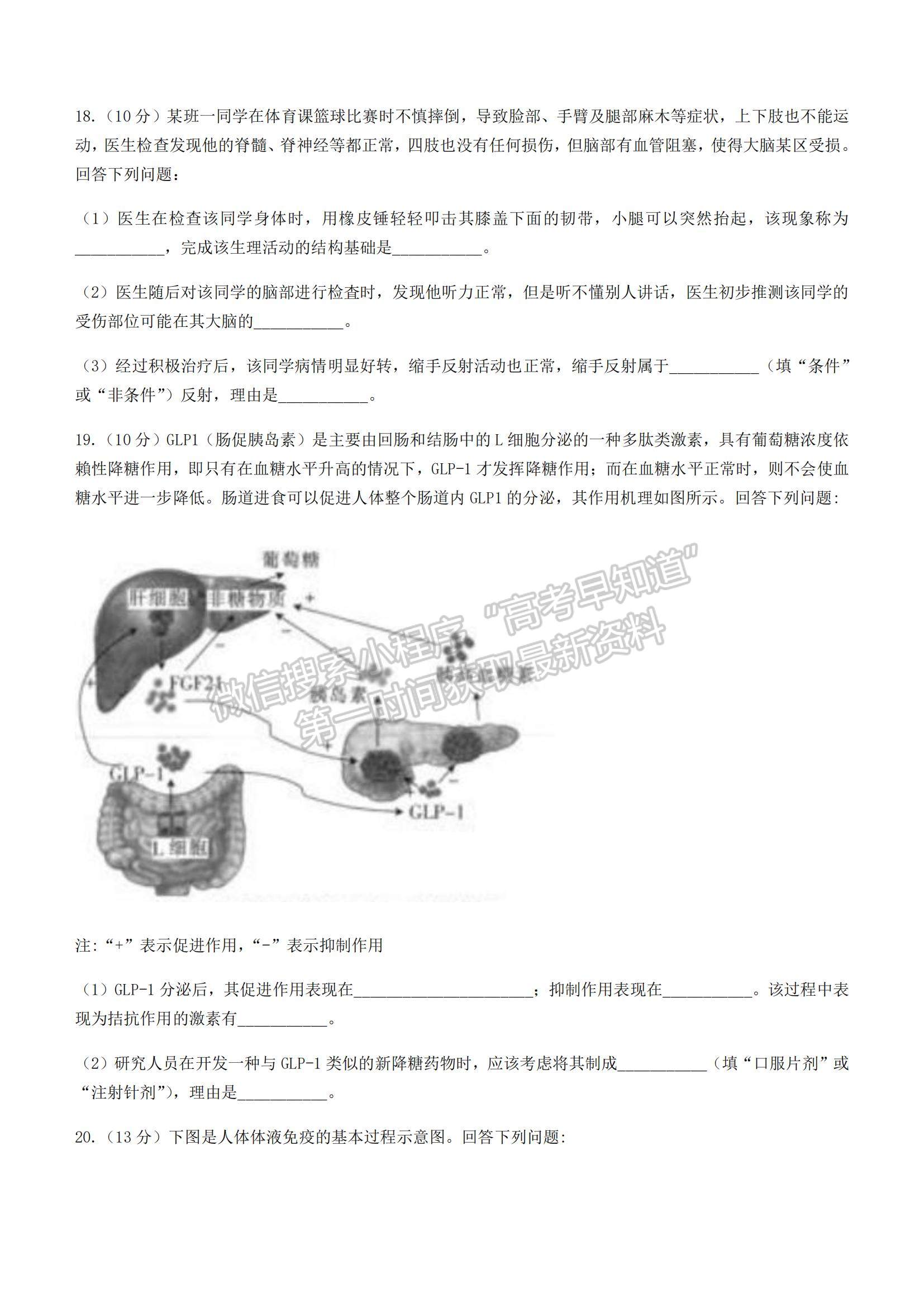 2022湖南百校聯(lián)考高二上學(xué)期期中考試生物試題及參考答案