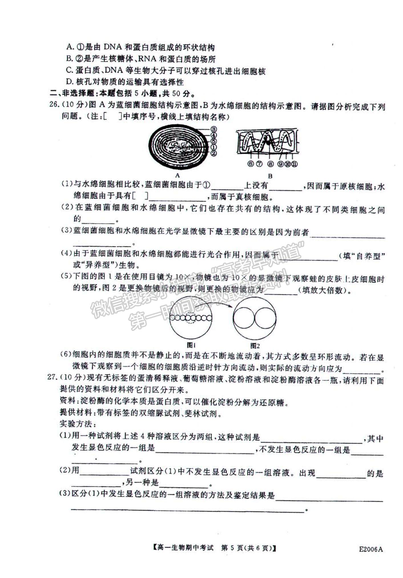 2022黑龍江省“五校聯(lián)誼”高一上學(xué)期期中聯(lián)考生物試題及參考答案