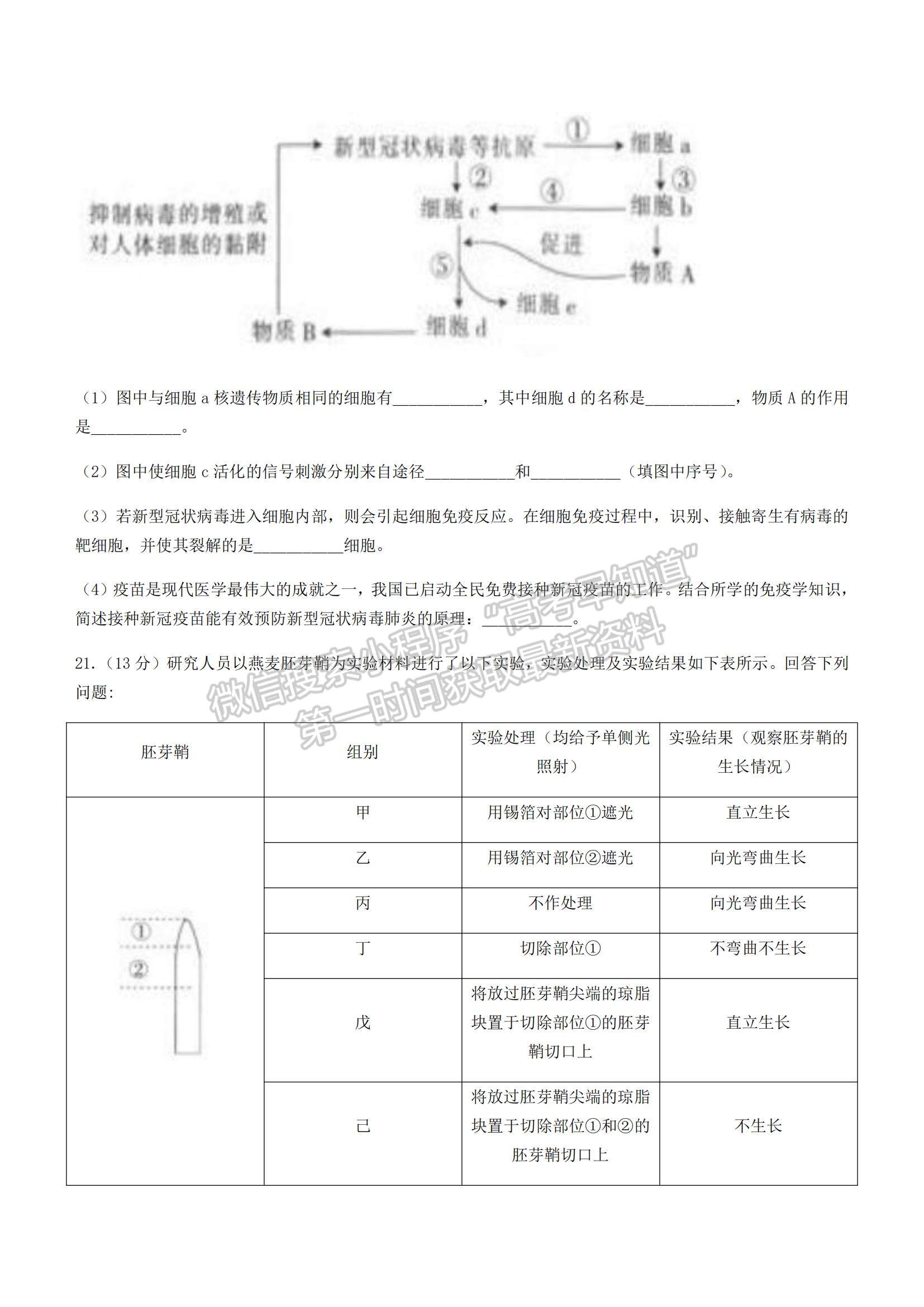 2022湖南百校聯(lián)考高二上學(xué)期期中考試生物試題及參考答案