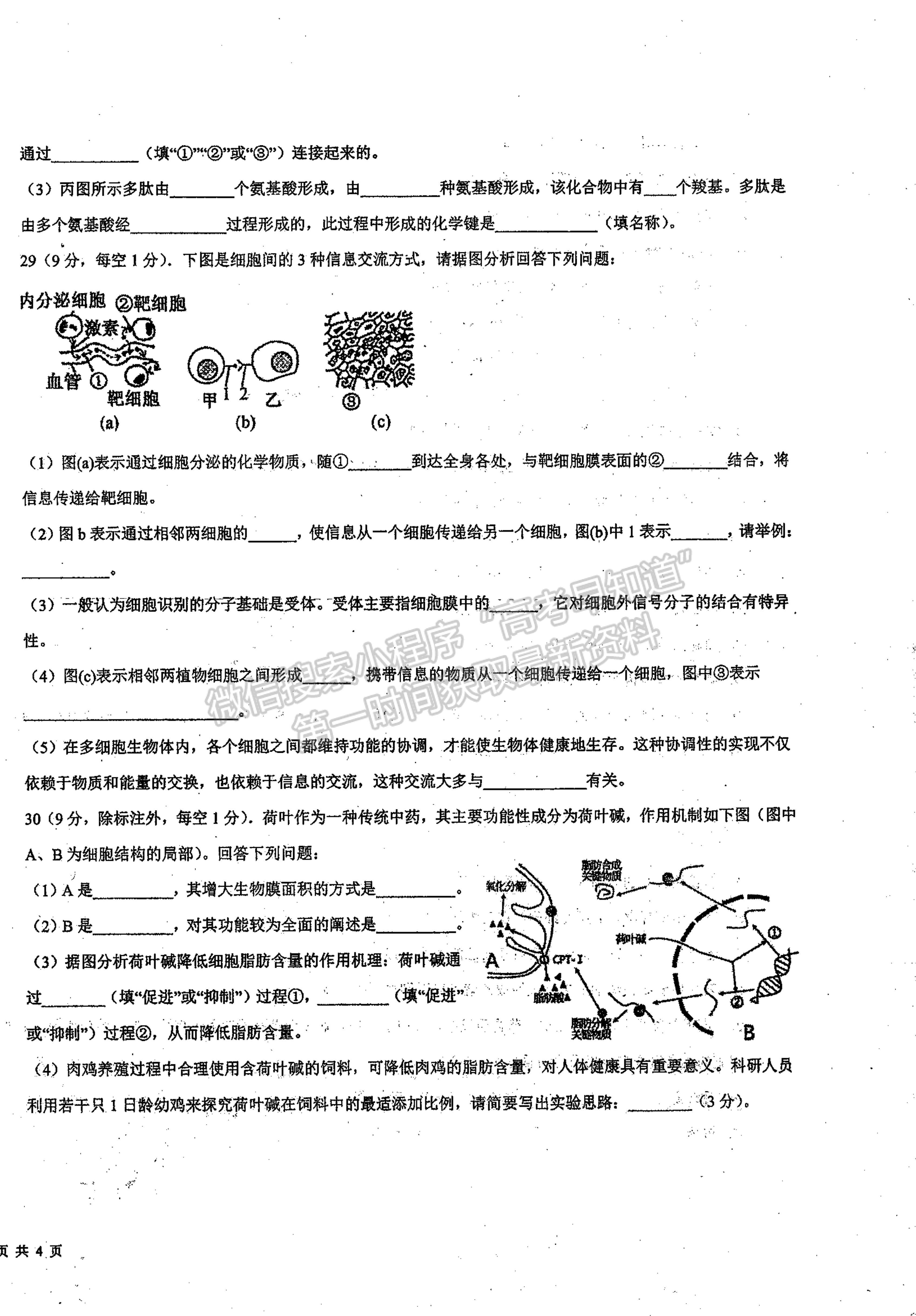 2022山西省朔州市平魯區(qū)李林中學(xué)高一第二次月考生物（平行班）試題及參考答案