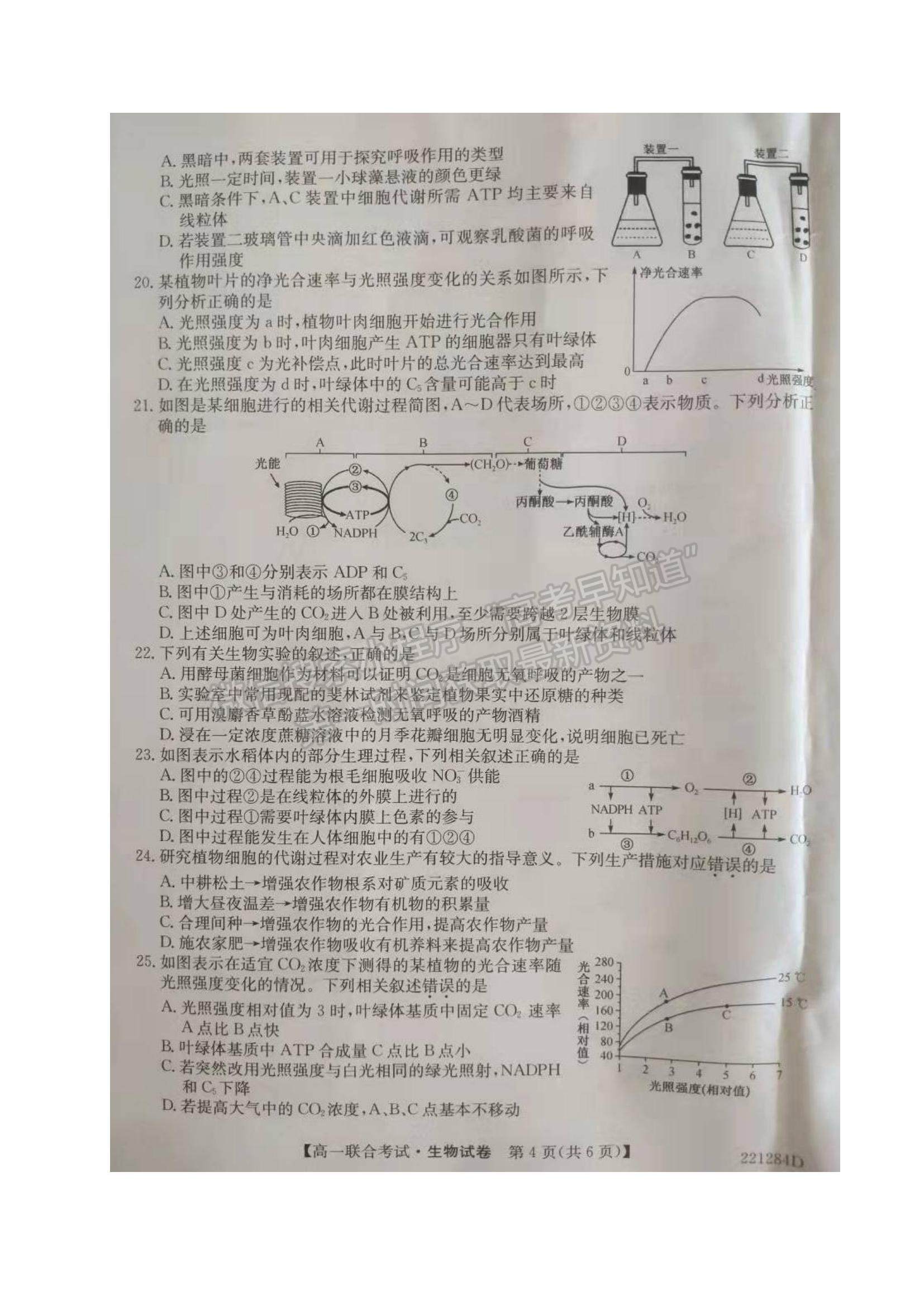 2022黑龍江省綏化市部分學(xué)校高一上學(xué)期期末聯(lián)考生物試題及參考答案