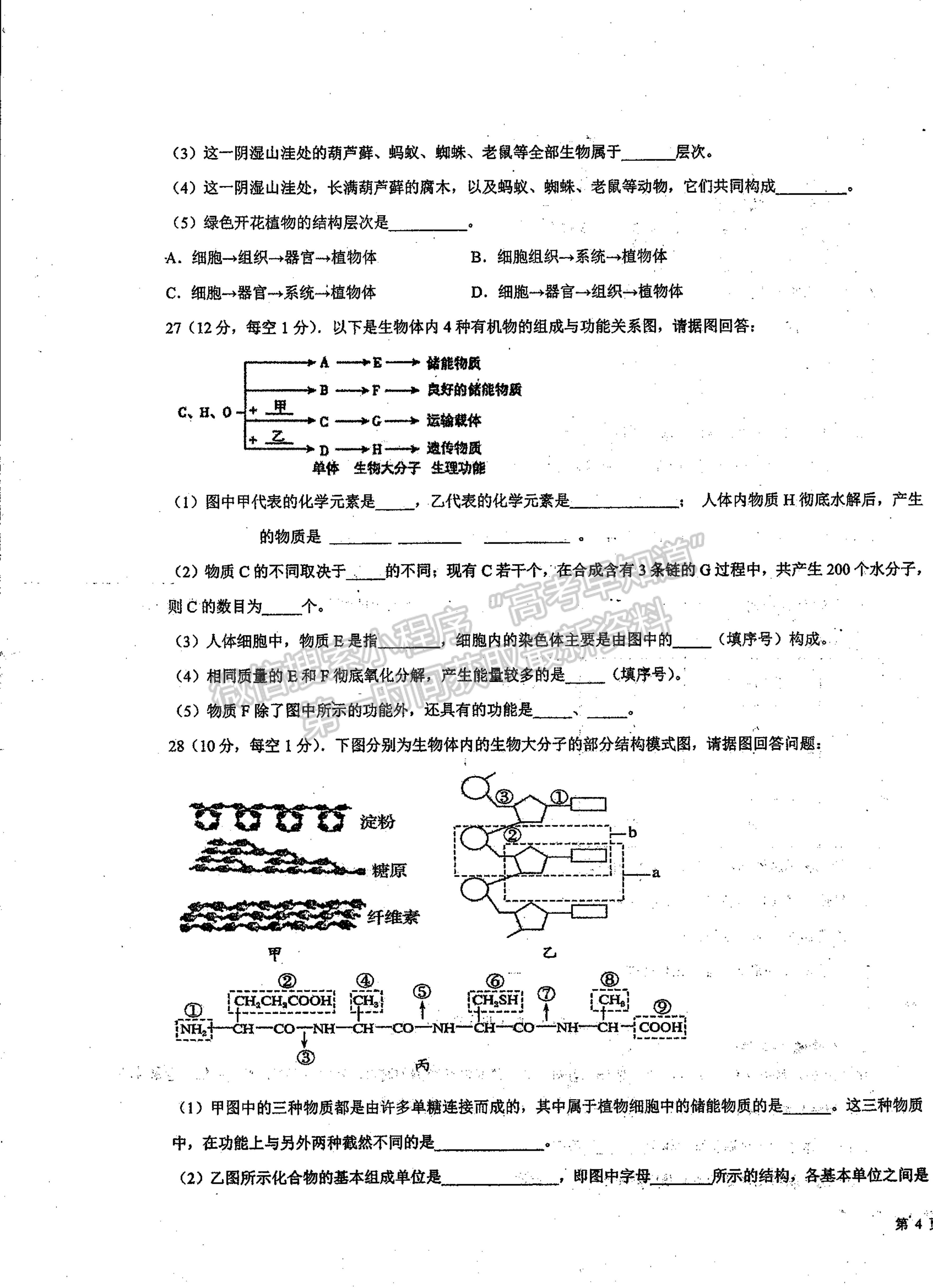 2022山西省朔州市平魯區(qū)李林中學(xué)高一第二次月考生物（平行班）試題及參考答案