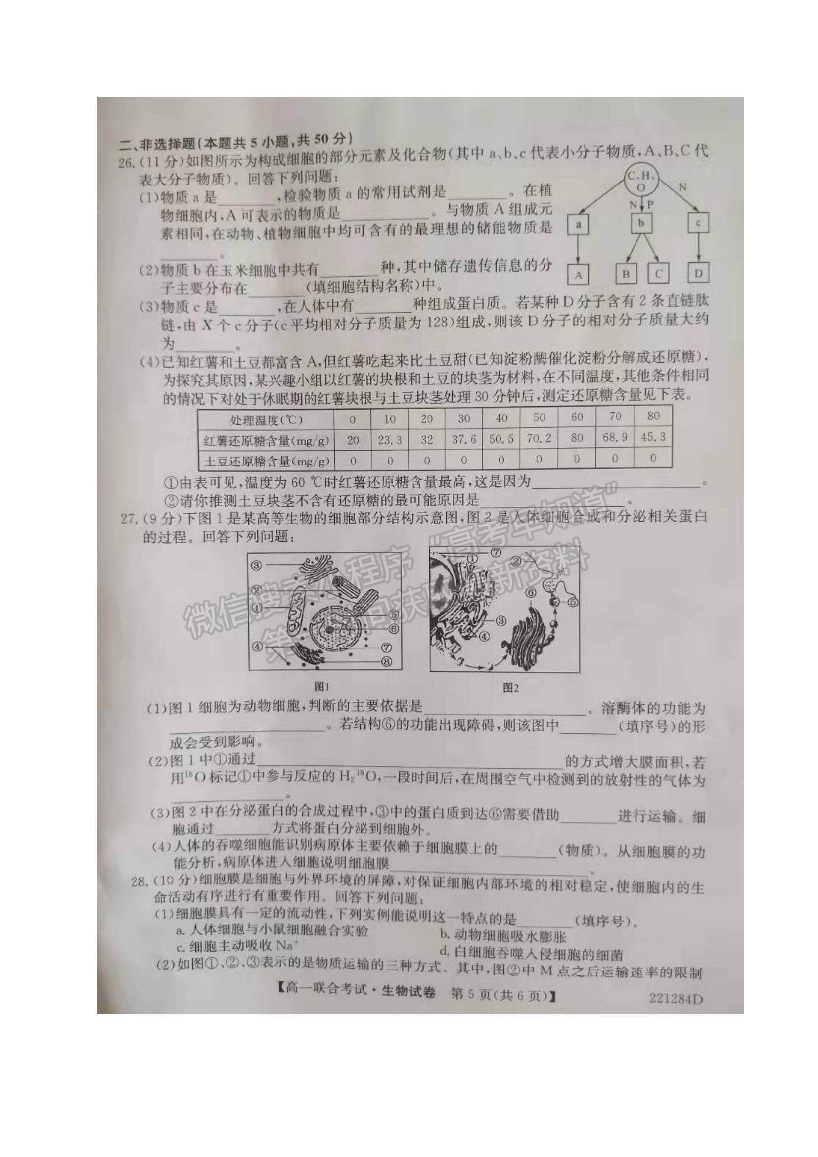 2022黑龍江省綏化市部分學校高一上學期期末聯(lián)考生物試題及參考答案