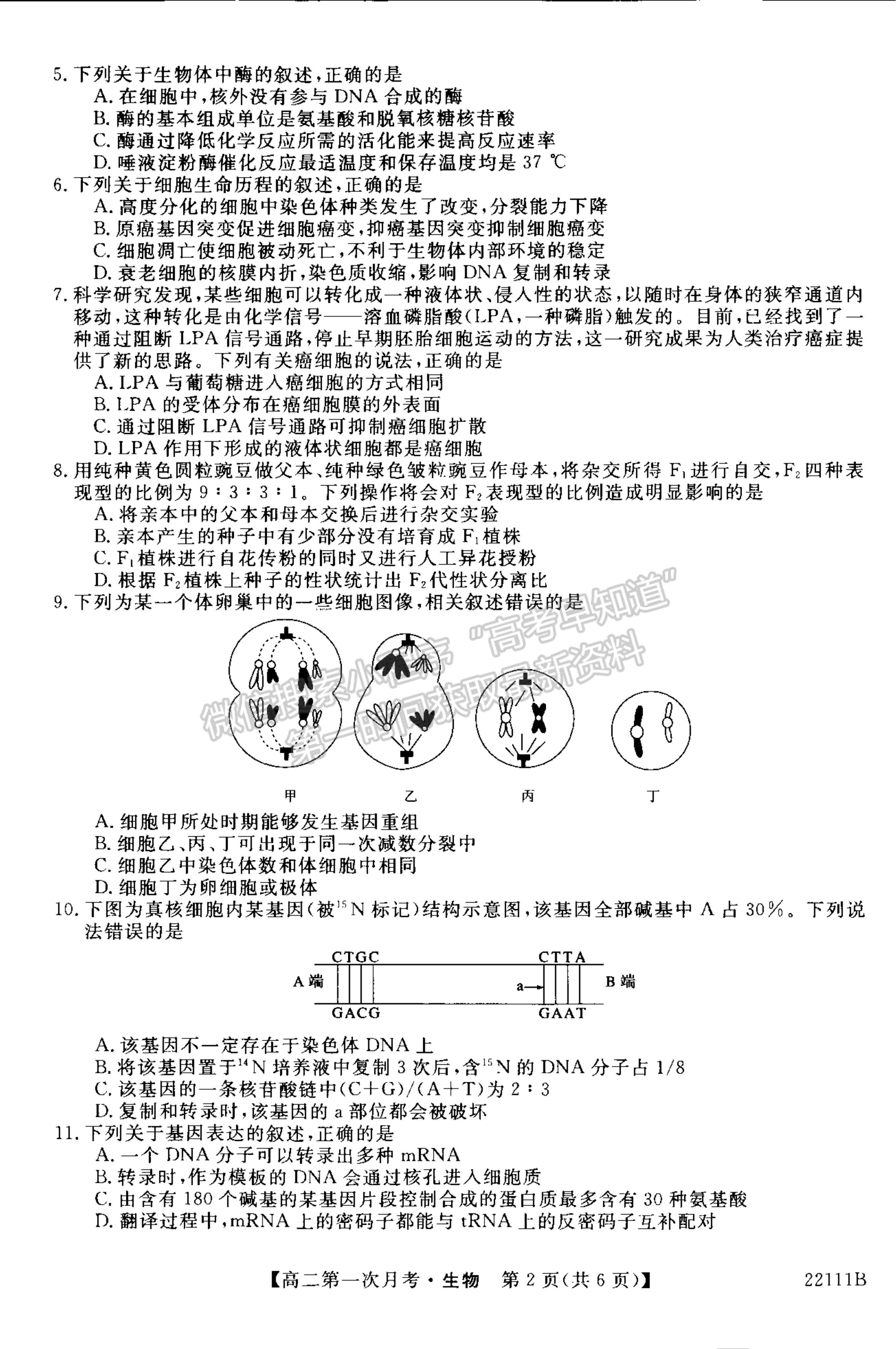 2022廣西賀州市昭平中學高二第一次月考生物試題及參考答案