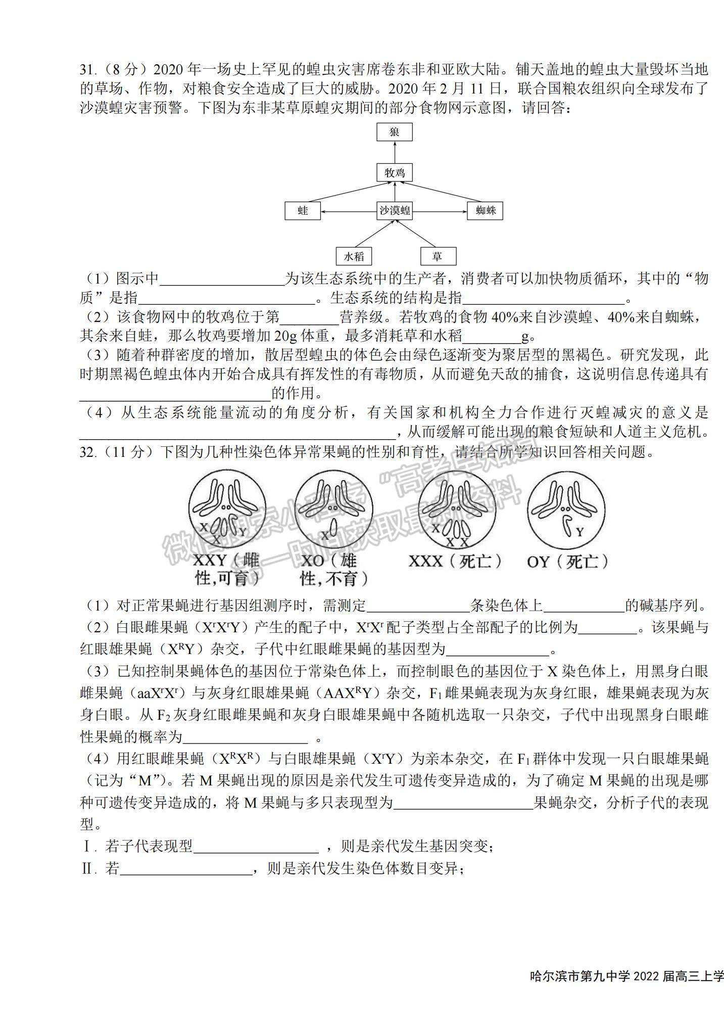 2022黑龍江哈九中高三上學(xué)期期末考試?yán)砭C試題及參考答案