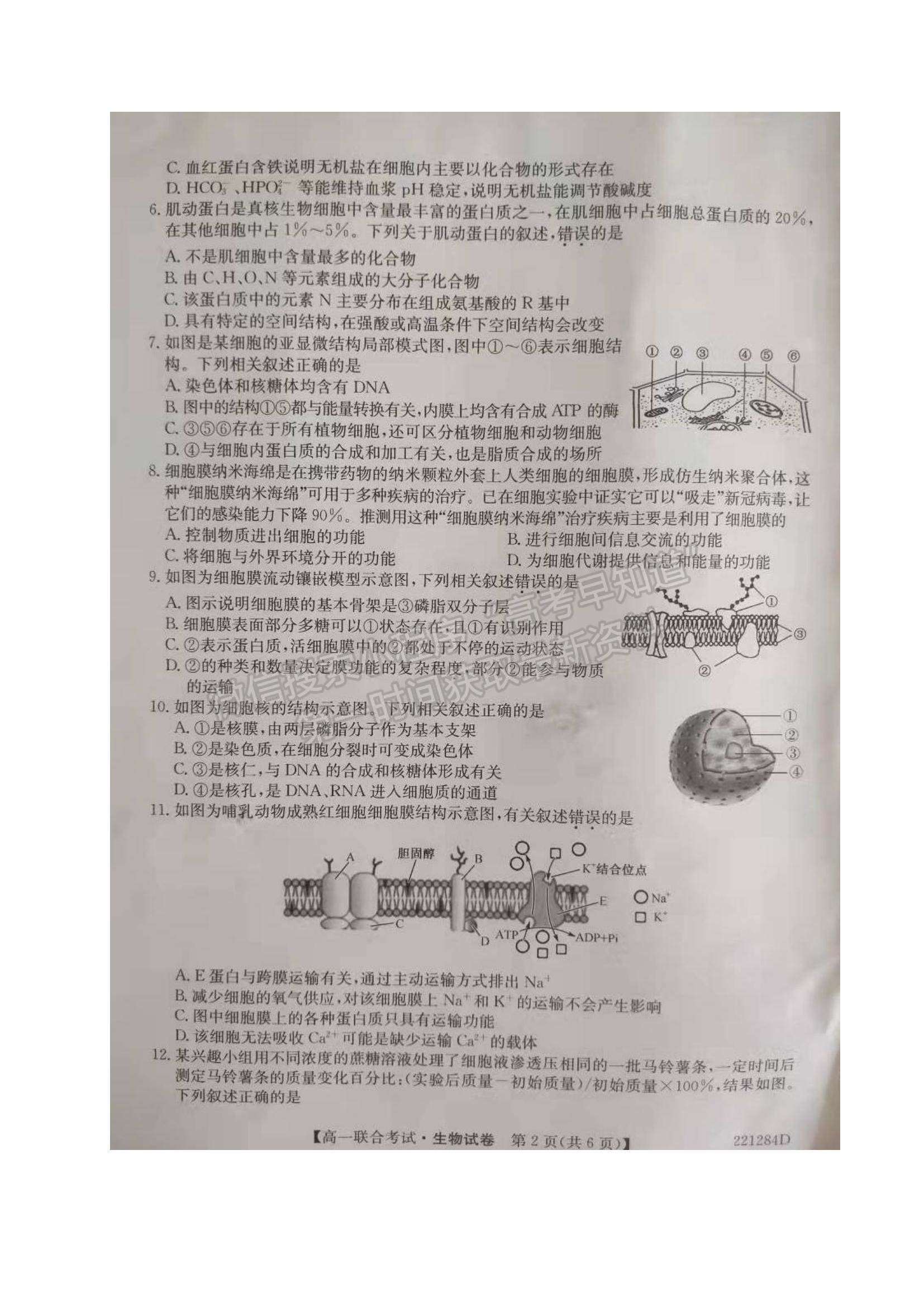 2022黑龍江省綏化市部分學校高一上學期期末聯(lián)考生物試題及參考答案