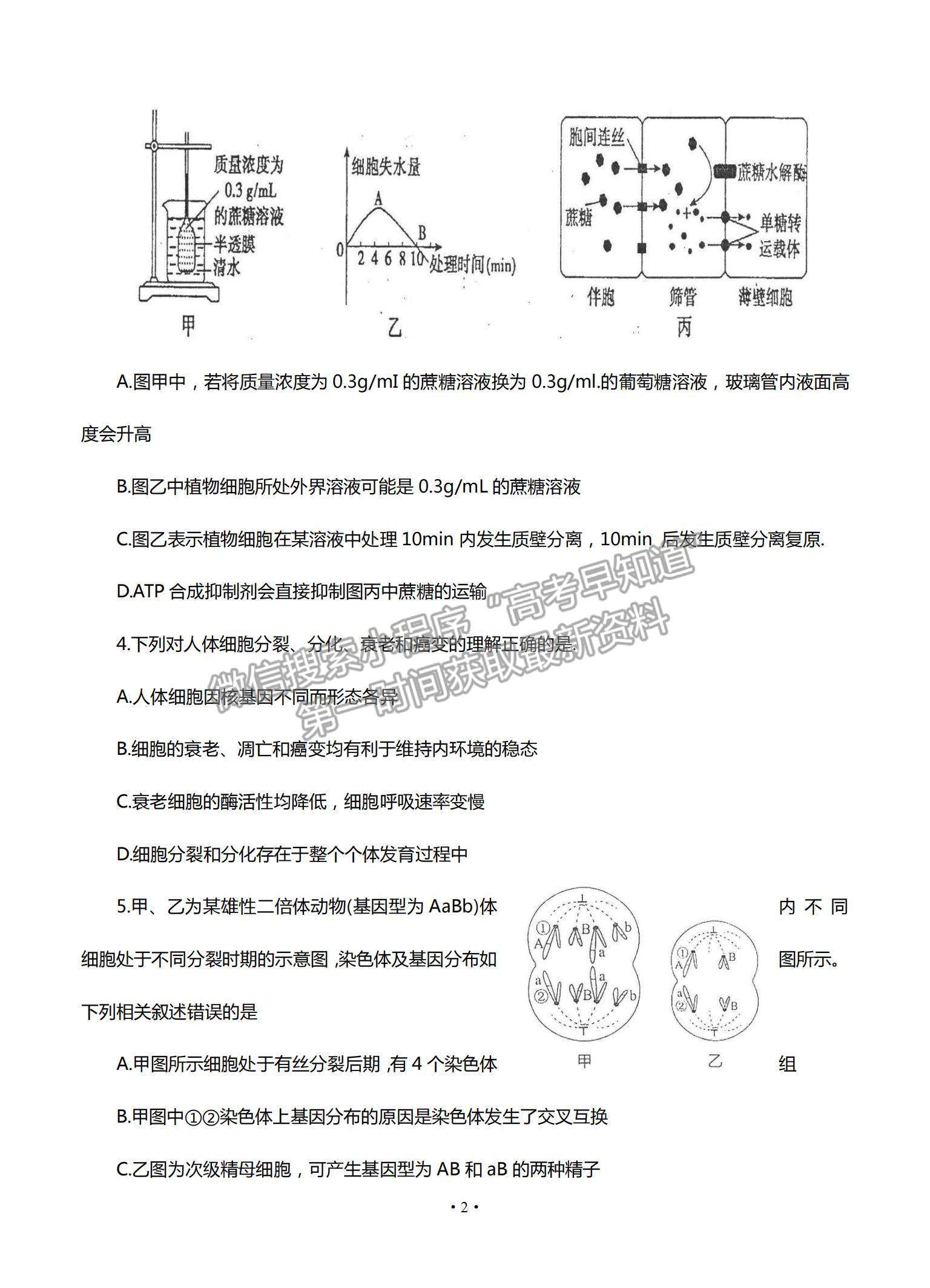 2022江蘇省高郵市高三12月學情調(diào)研考試生物試題及參考答案