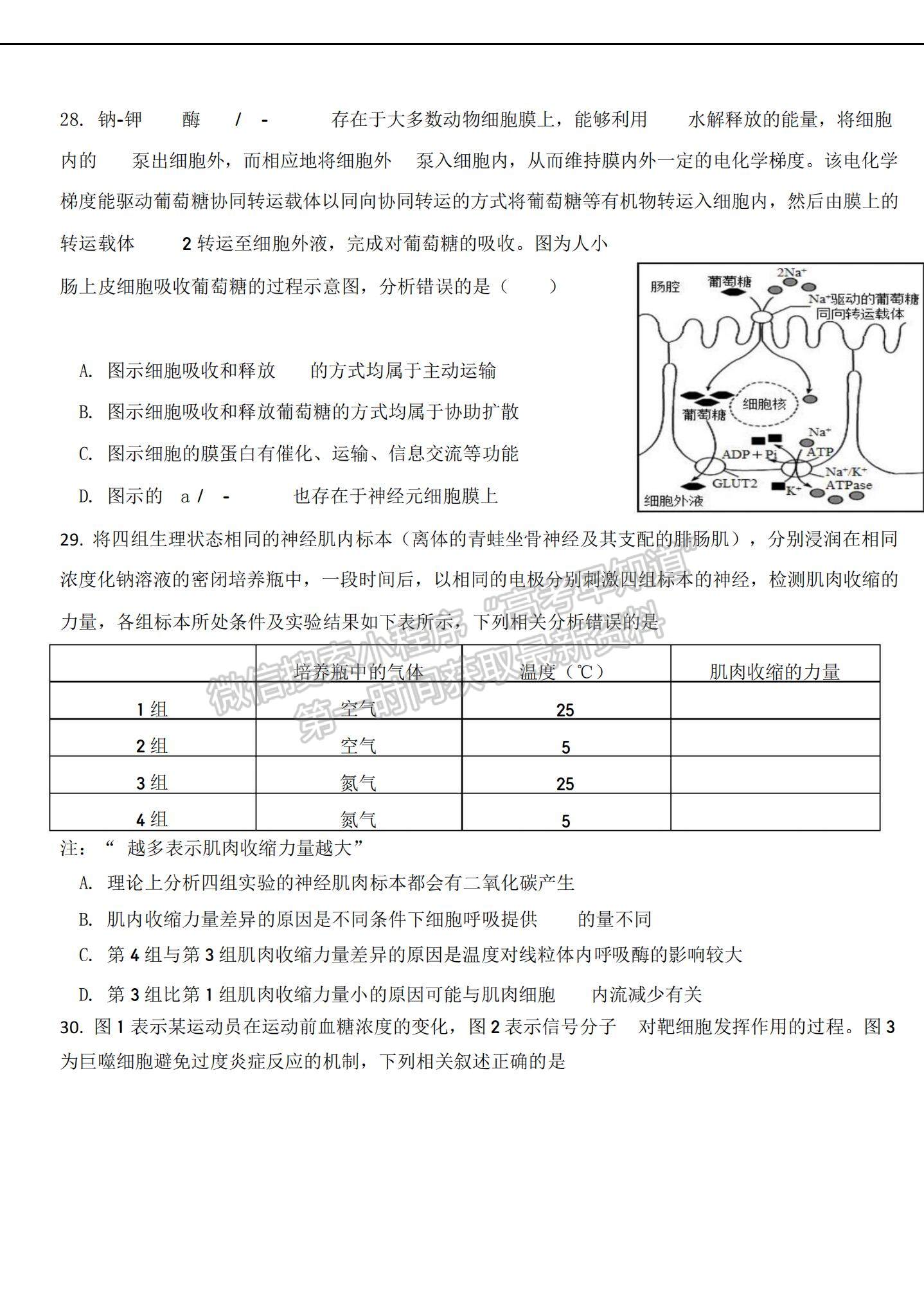 2022河北省武安一中高二上學(xué)期第一次月考生物試題及參考答案