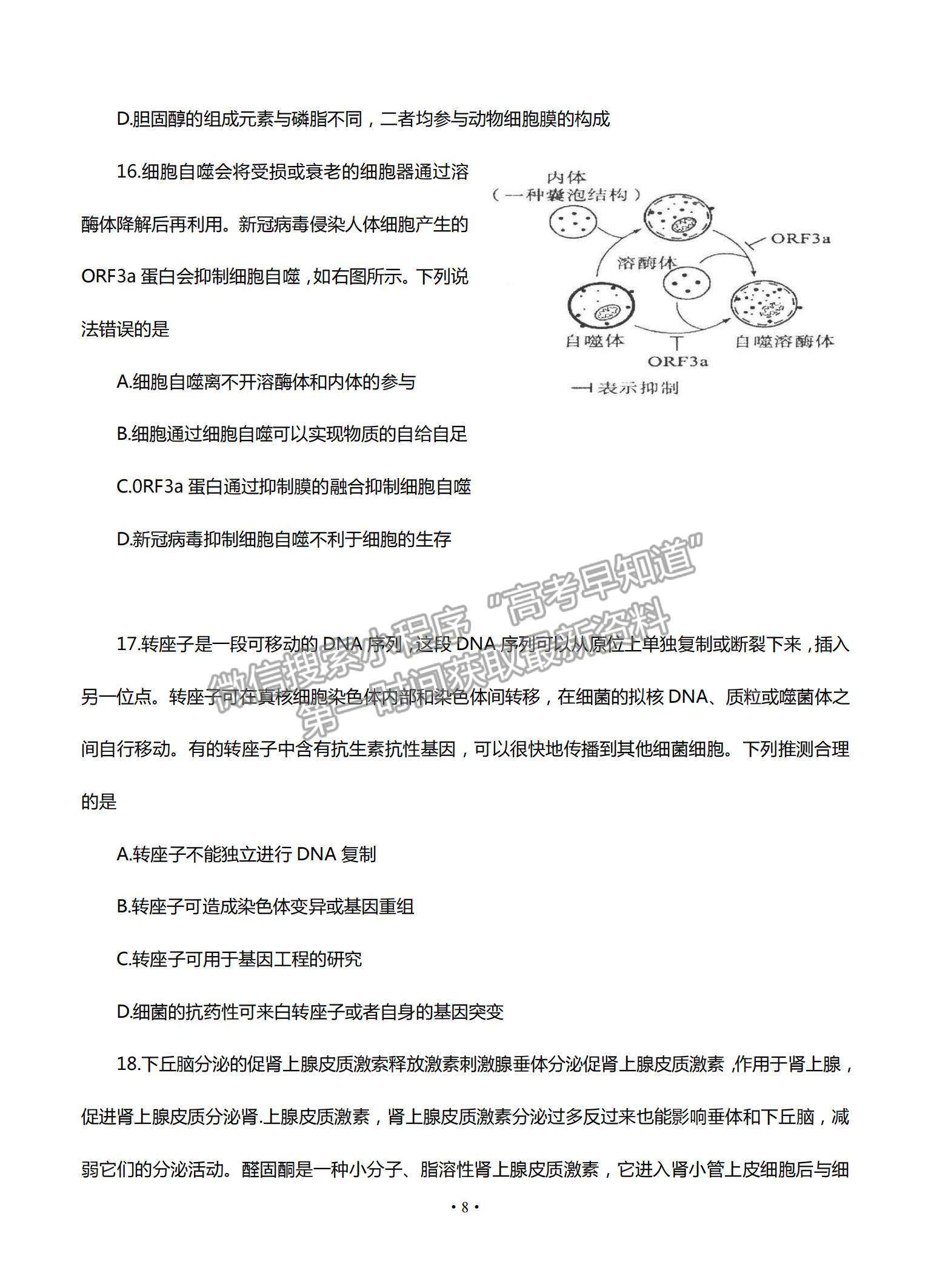 2022江蘇省高郵市高三12月學(xué)情調(diào)研考試生物試題及參考答案