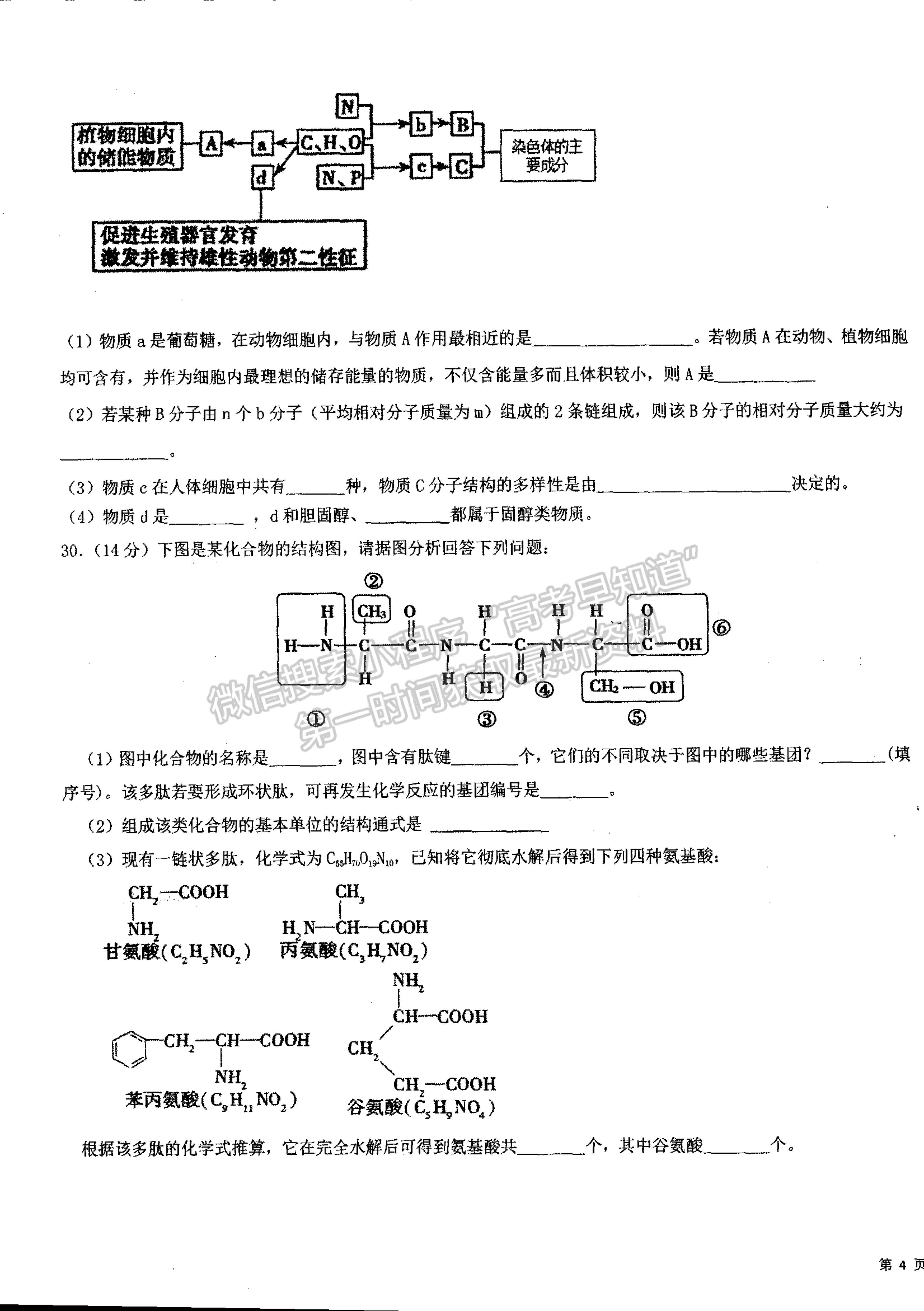 2022山西省朔州市平魯區(qū)李林中學(xué)高一第一次月考生物（平行班）試題及參考答案