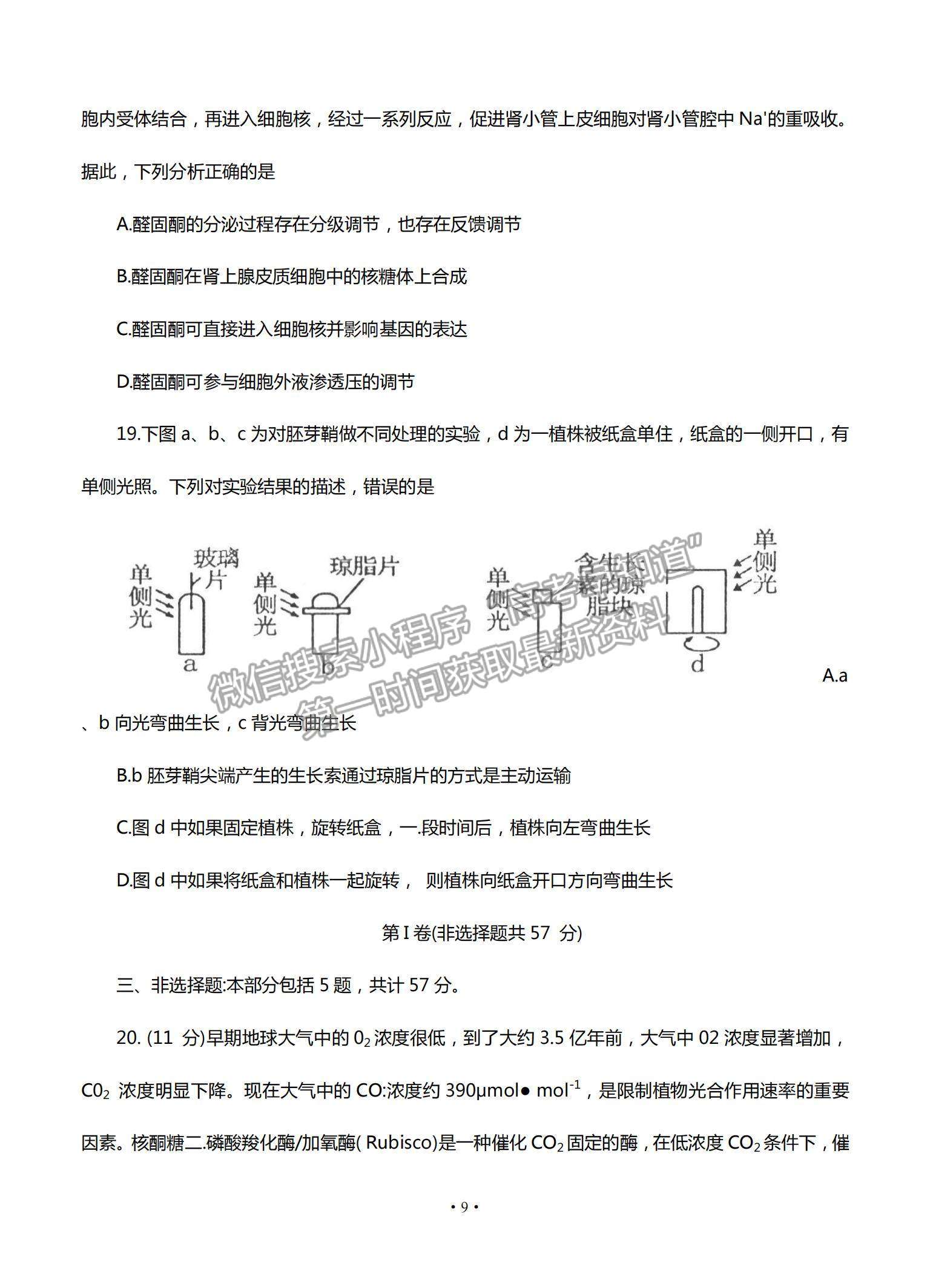 2022江蘇省高郵市高三12月學(xué)情調(diào)研考試生物試題及參考答案