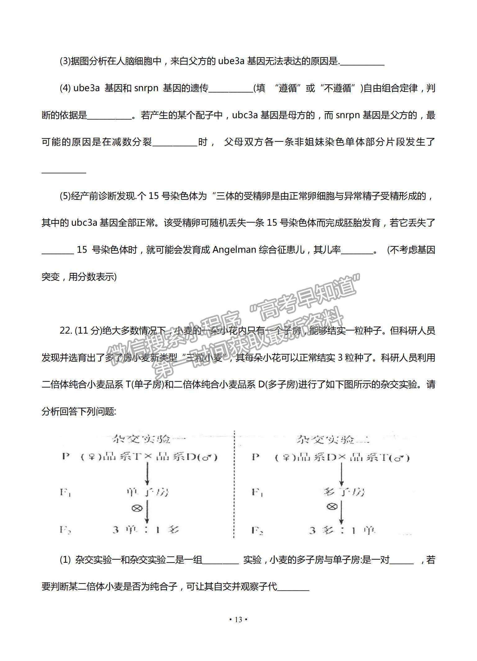 2022江蘇省高郵市高三12月學情調(diào)研考試生物試題及參考答案