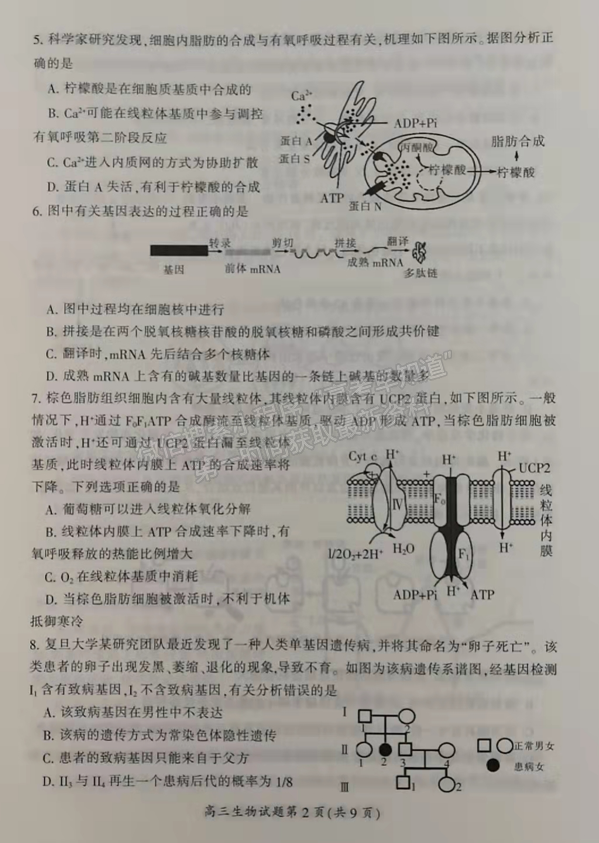 2022屆郴州、邵陽(yáng)高三1月聯(lián)考生物試題及參考答案