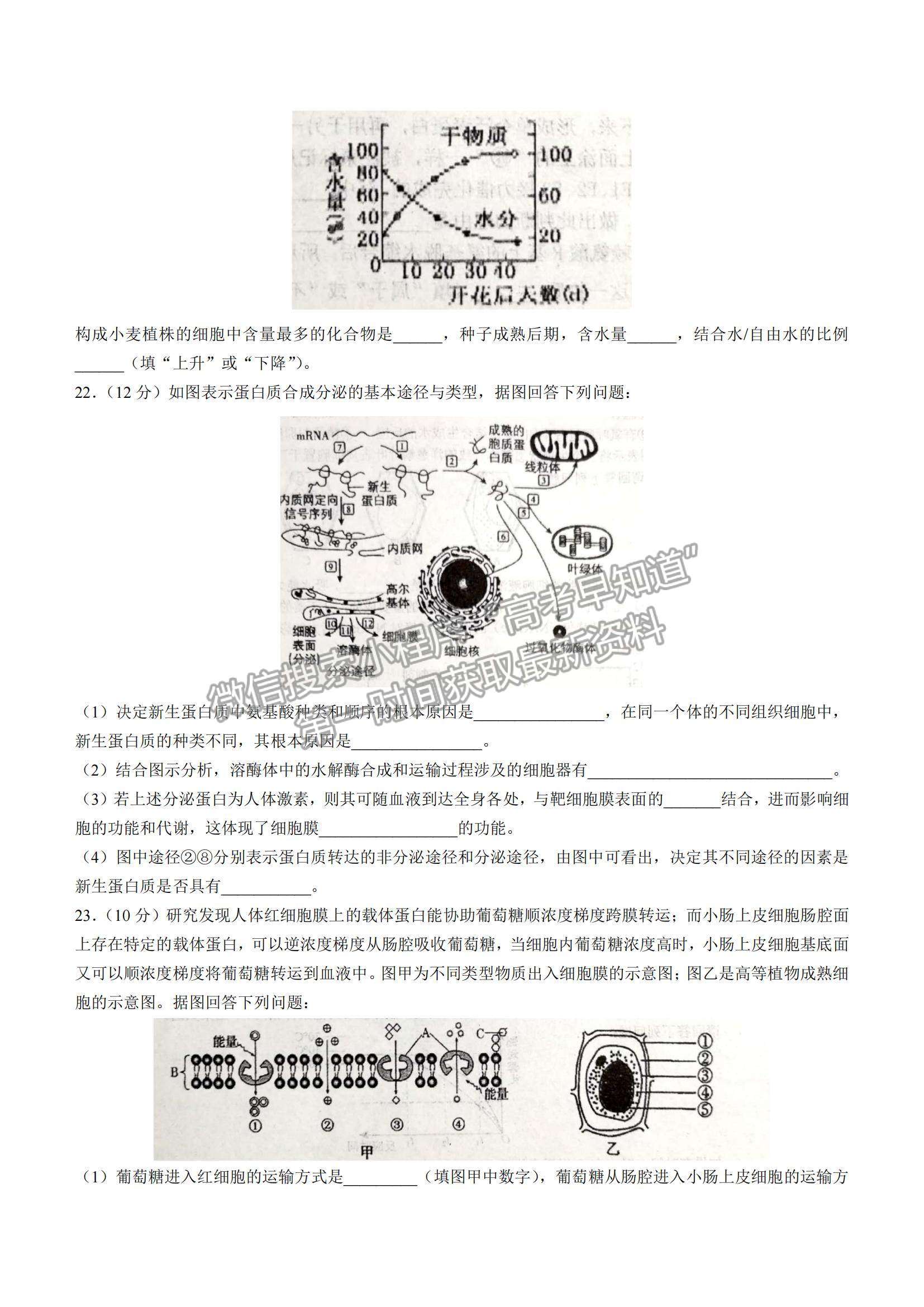 2022天津耀華中學(xué)高三上學(xué)期第一次月考生物試題及參考答案