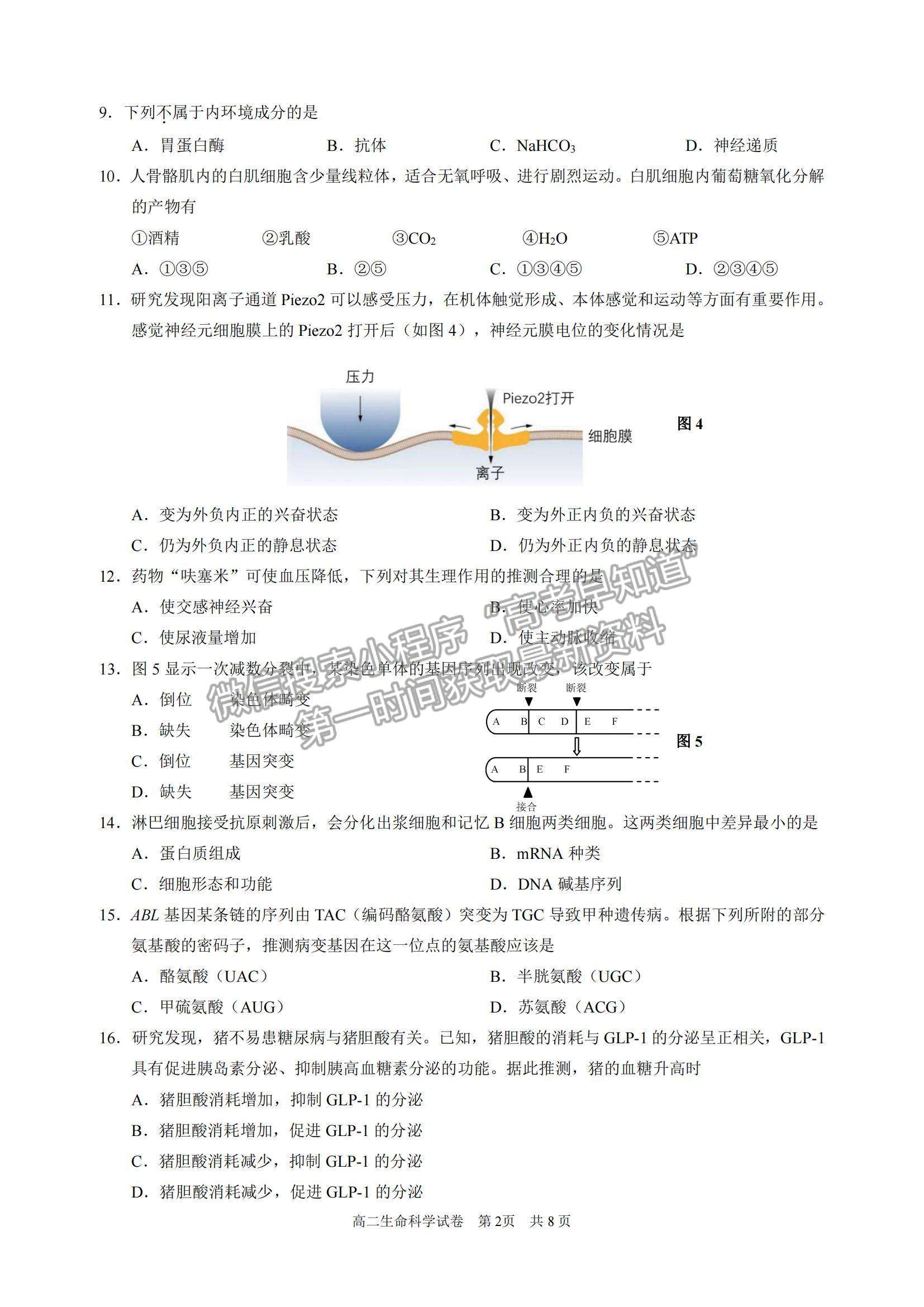 2022上海市黃浦區(qū)高三上學(xué)期期終調(diào)研測試（一模）生物試題及參考答案