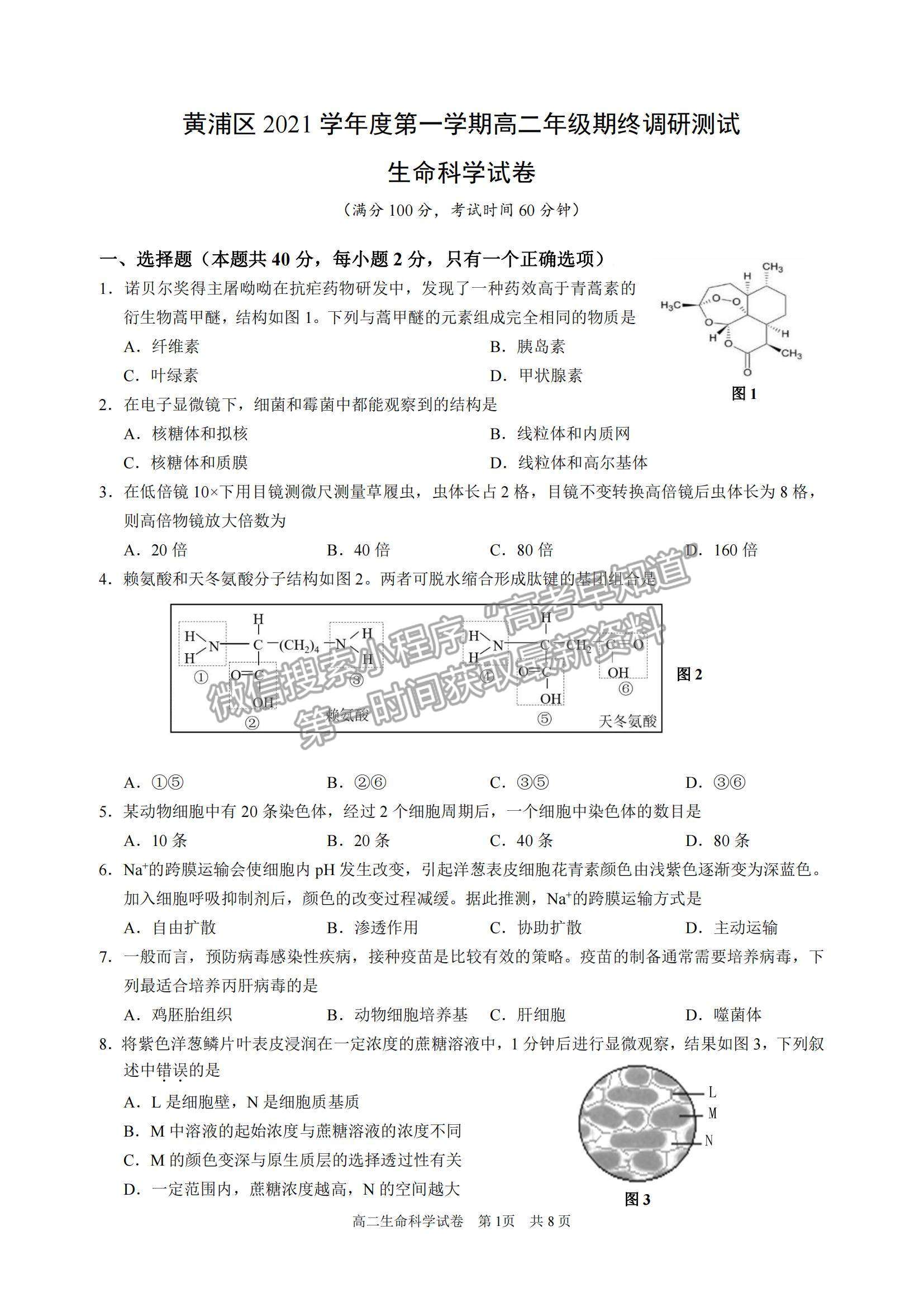 2022上海市黃浦區(qū)高三上學(xué)期期終調(diào)研測(cè)試（一模）生物試題及參考答案