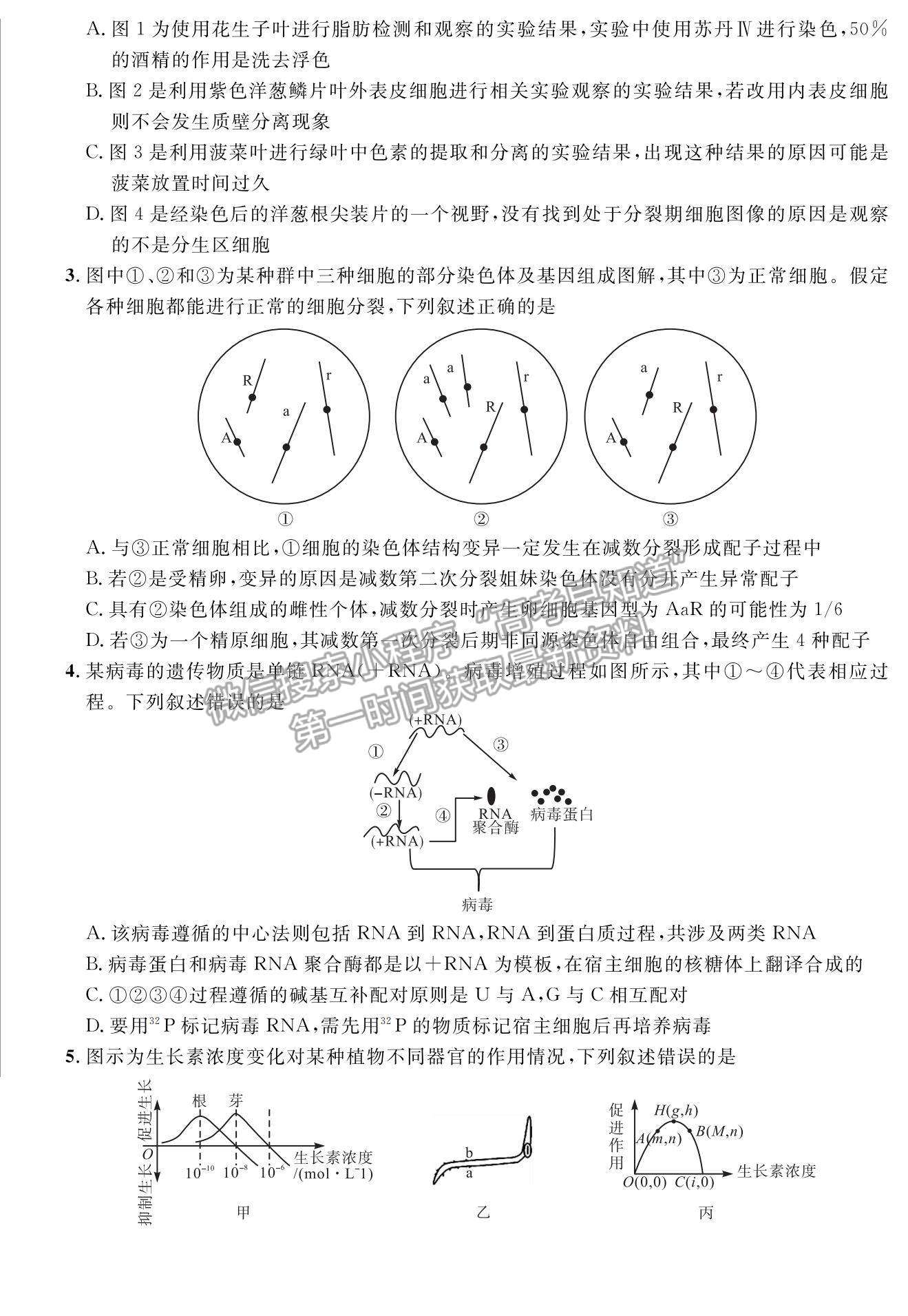 2022安徽示范高中高三上學期冬季聯(lián)賽理綜試題及參考答案