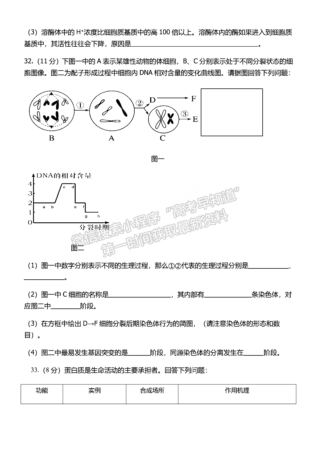 2022河南省重點高中高三上學期階段性調(diào)研聯(lián)考二生物試卷及參考答案