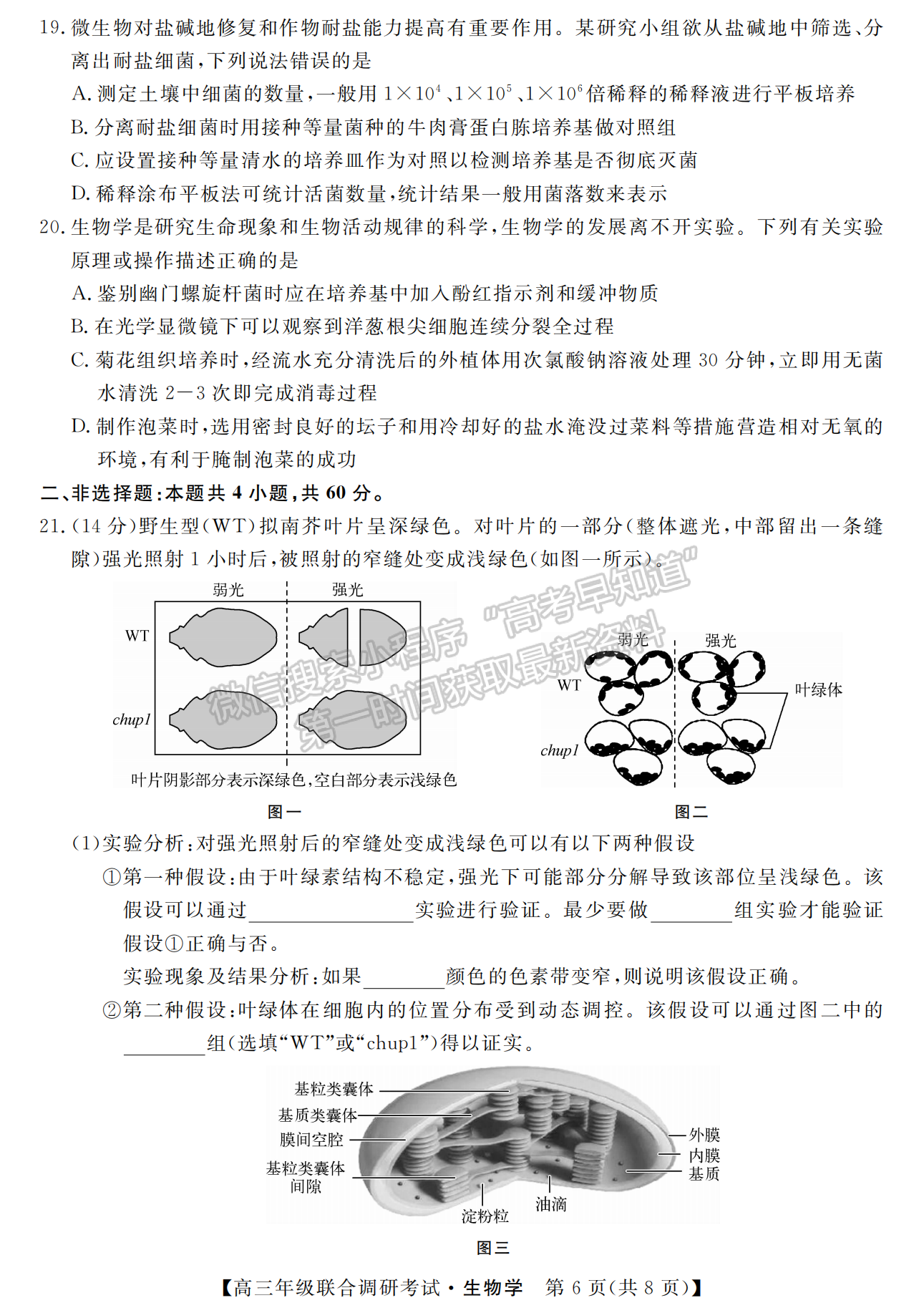 湖北省部分市州2022年元月高三年級(jí)聯(lián)合調(diào)研考試生物試卷及答案