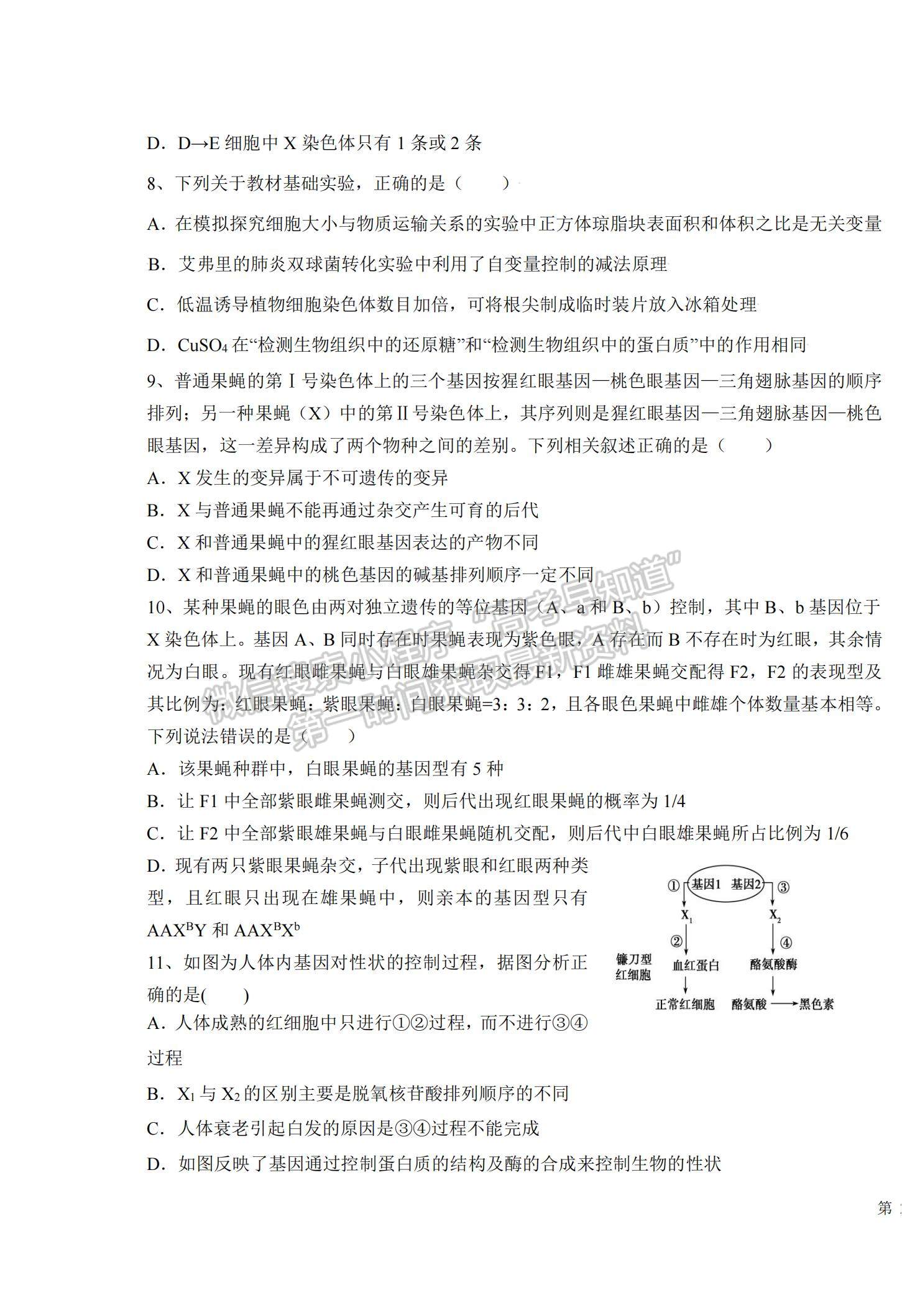 2022新疆烏魯木齊八中高三上學(xué)期第三次月考生物試題及參考答案