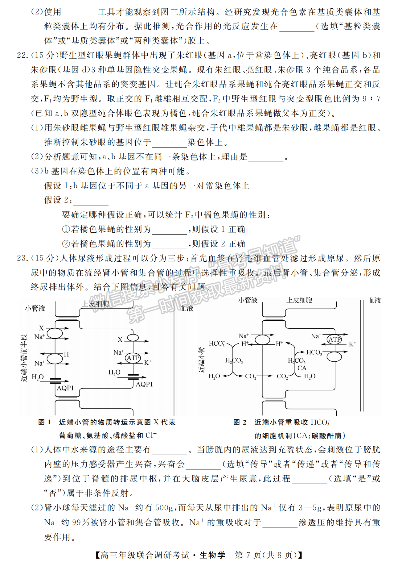 湖北省部分市州2022年元月高三年級(jí)聯(lián)合調(diào)研考試生物試卷及答案