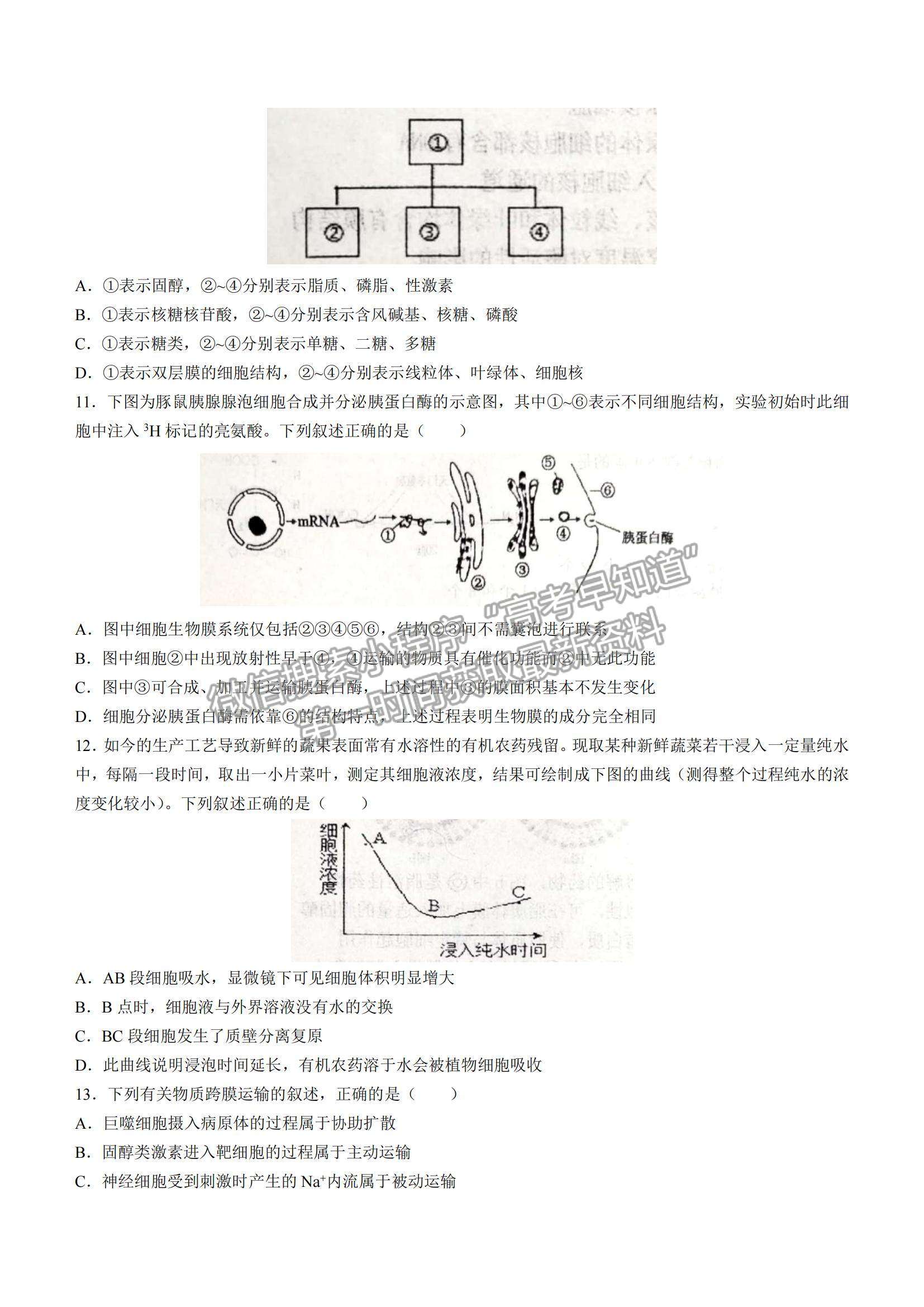 2022天津耀華中學(xué)高三上學(xué)期第一次月考生物試題及參考答案