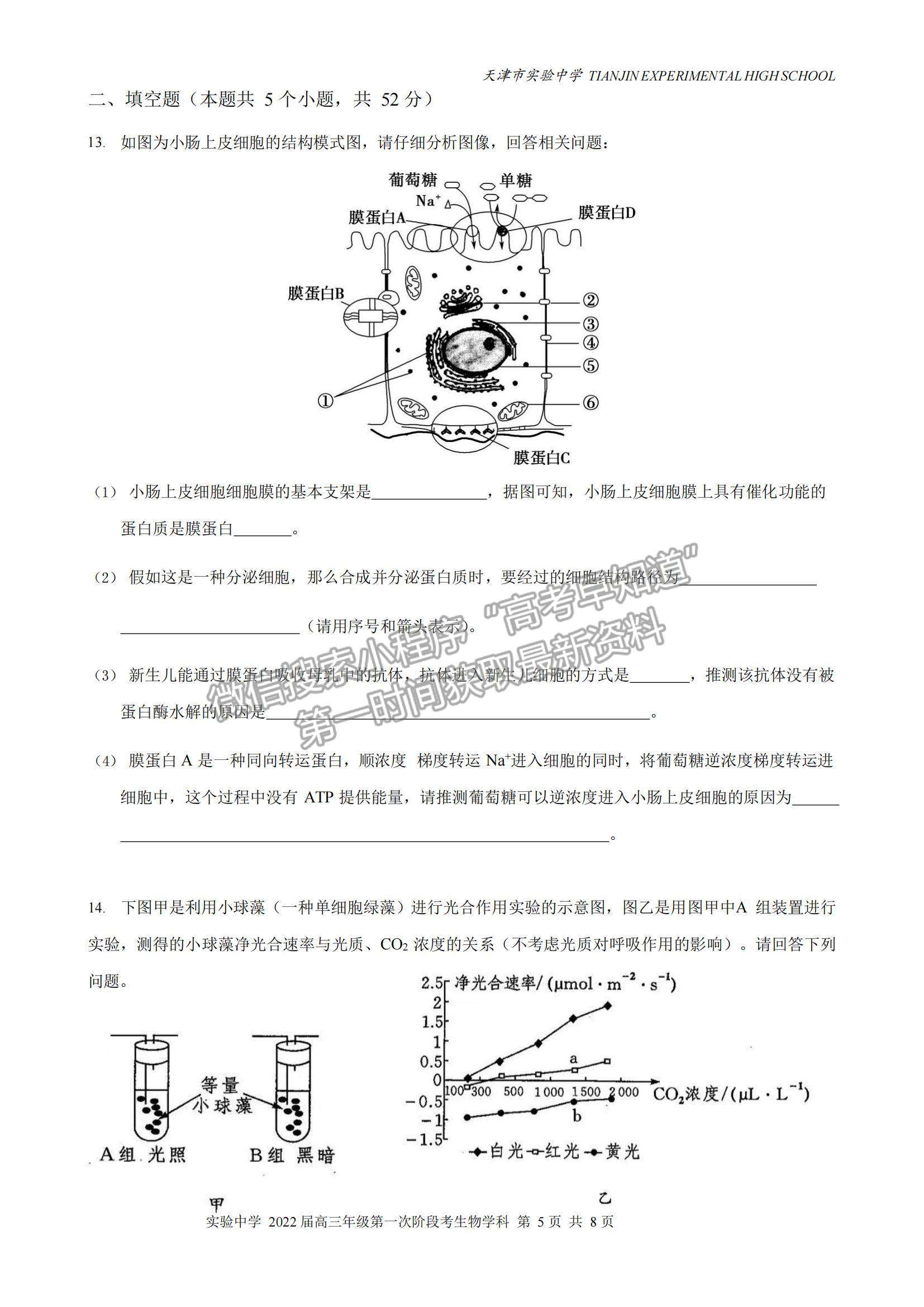 2022天津市實(shí)驗(yàn)中學(xué)高三第一次階段考試生物試題及參考答案