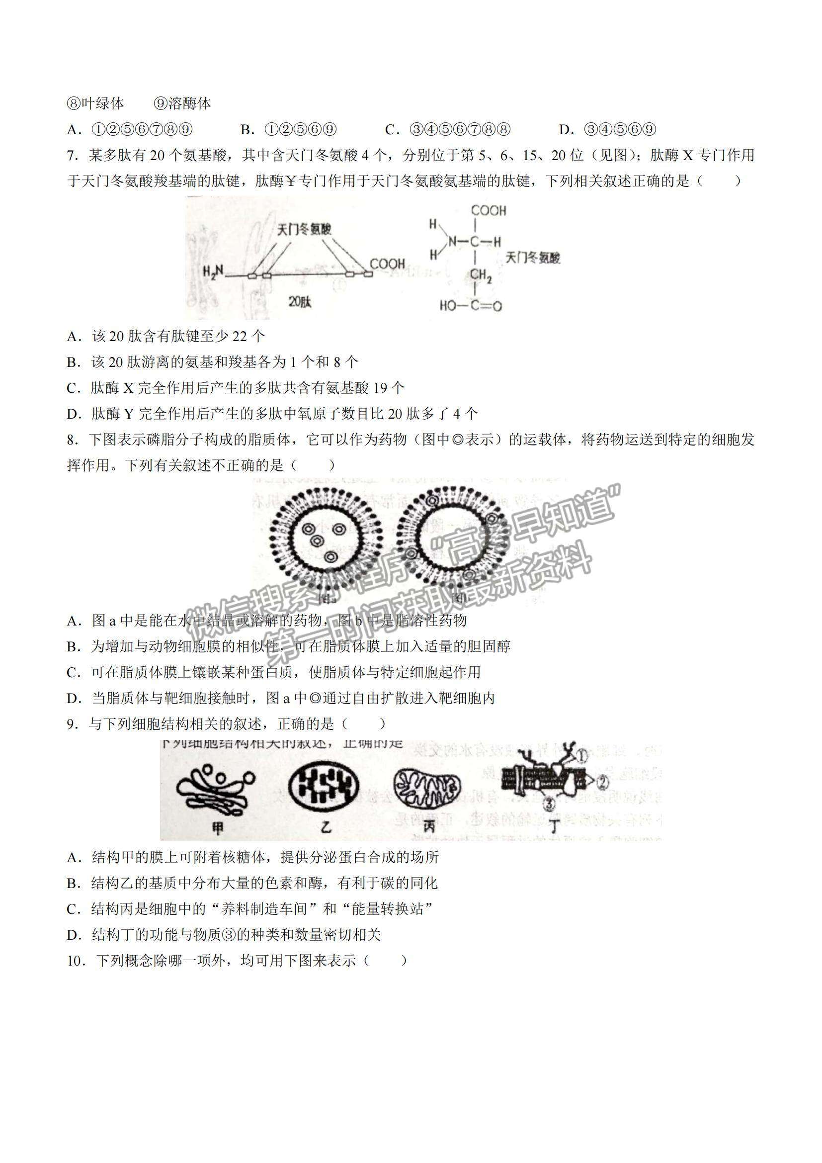 2022天津耀華中學(xué)高三上學(xué)期第一次月考生物試題及參考答案