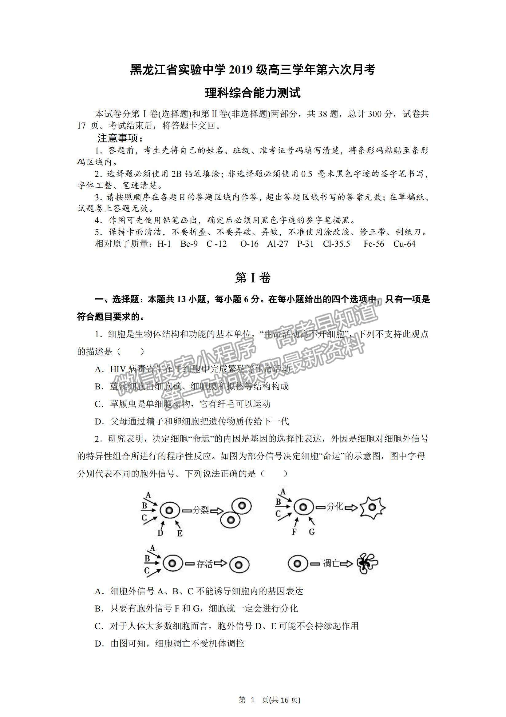 2022黑龍江省實驗中學(xué)高三上學(xué)期第六次月考理綜試題及參考答案