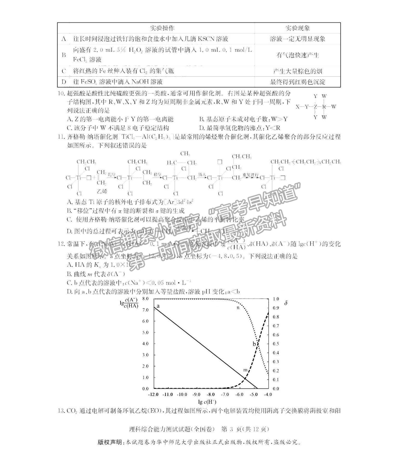 2022華大新高考聯(lián)盟高三1月教學測評（全國卷）理綜試題及參考答案