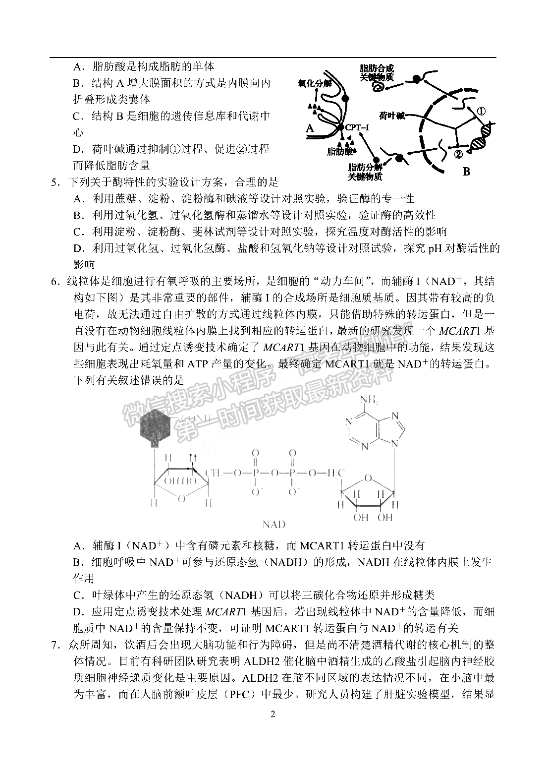 2022河南省名校聯(lián)盟高三1月聯(lián)合考試生物試題及參考答案