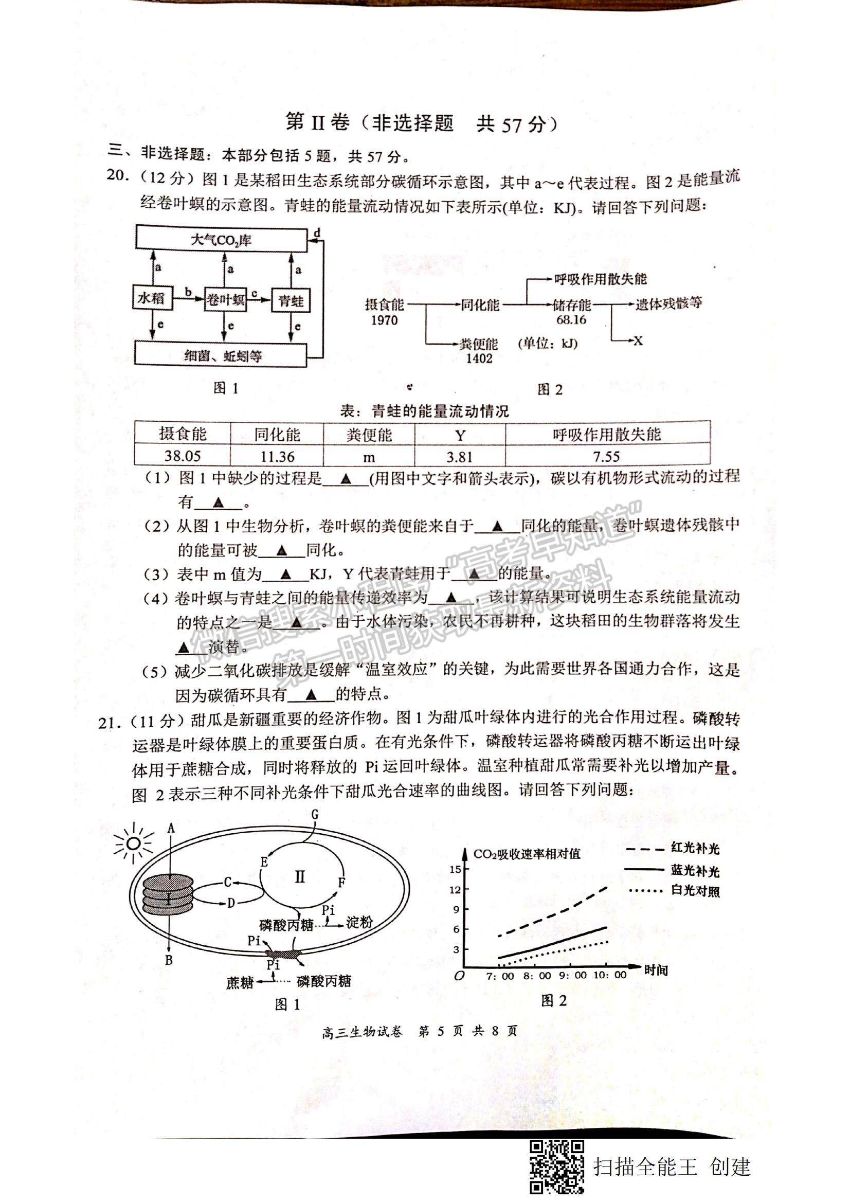 2022江蘇省鹽城、南京高三第一次模擬考試生物試題及參考答案