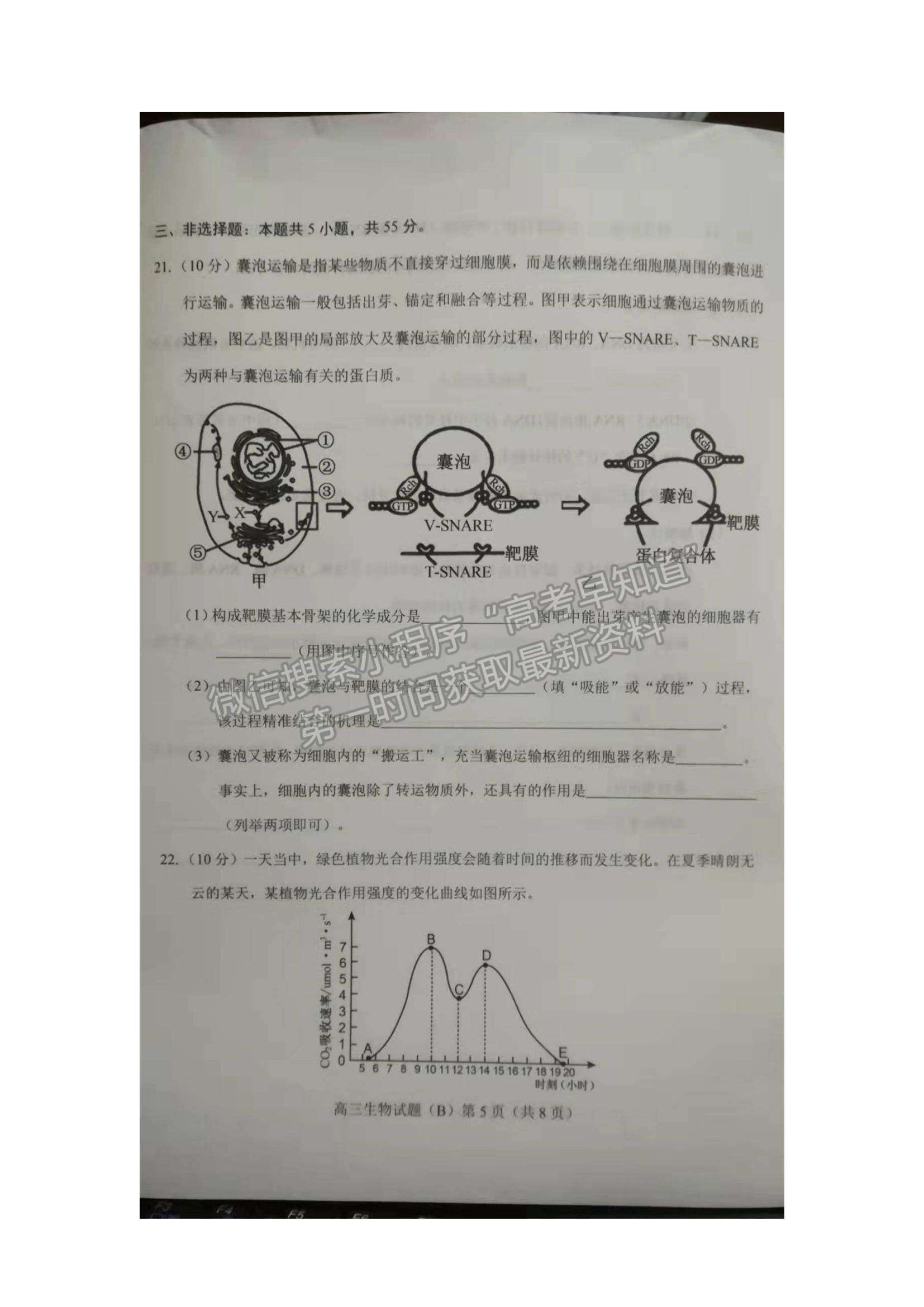 2022山東省菏澤市高三上學(xué)期期中考試生物試題及參考答案