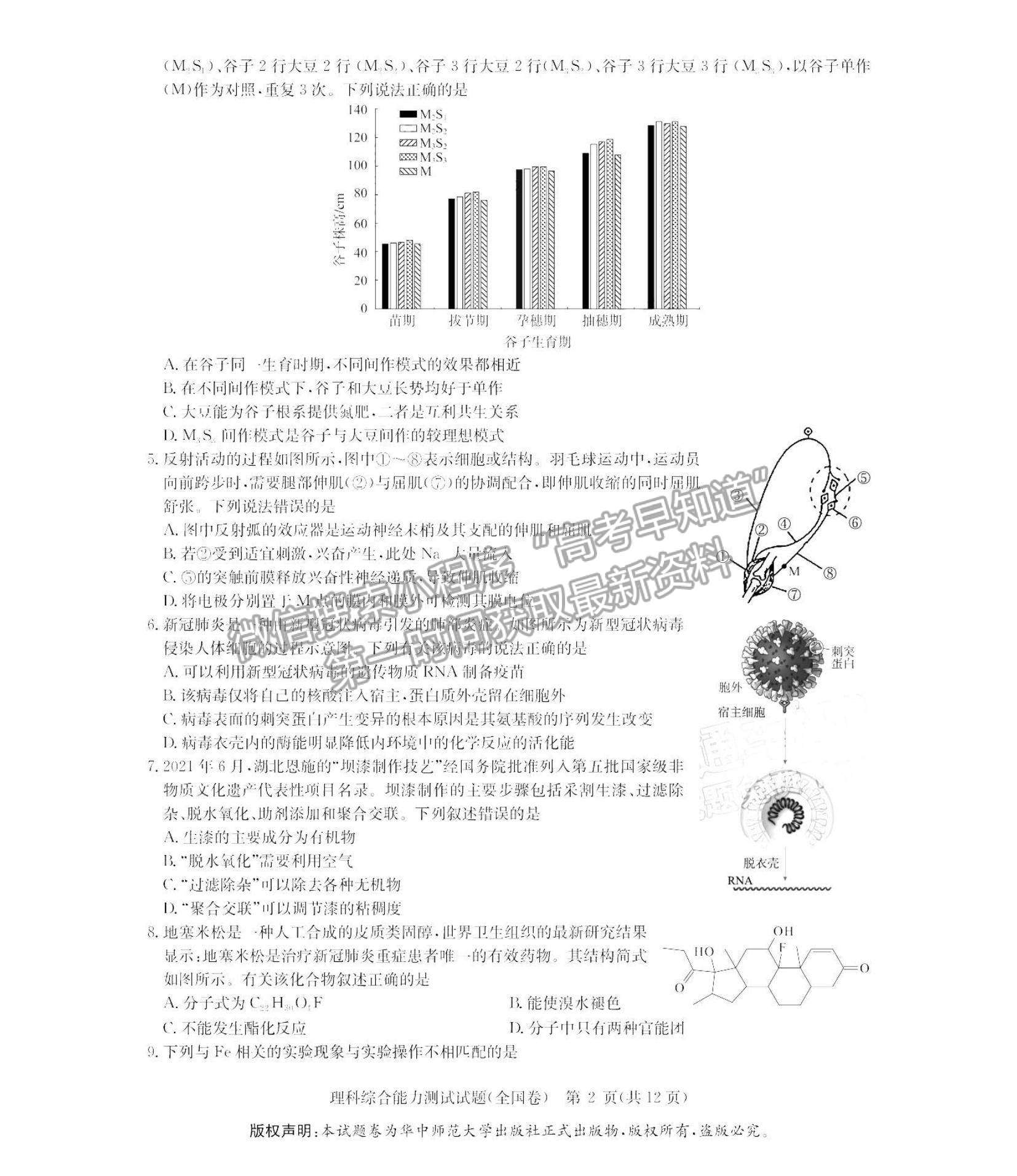 2022華大新高考聯(lián)盟高三1月教學(xué)測評（全國卷）理綜試題及參考答案