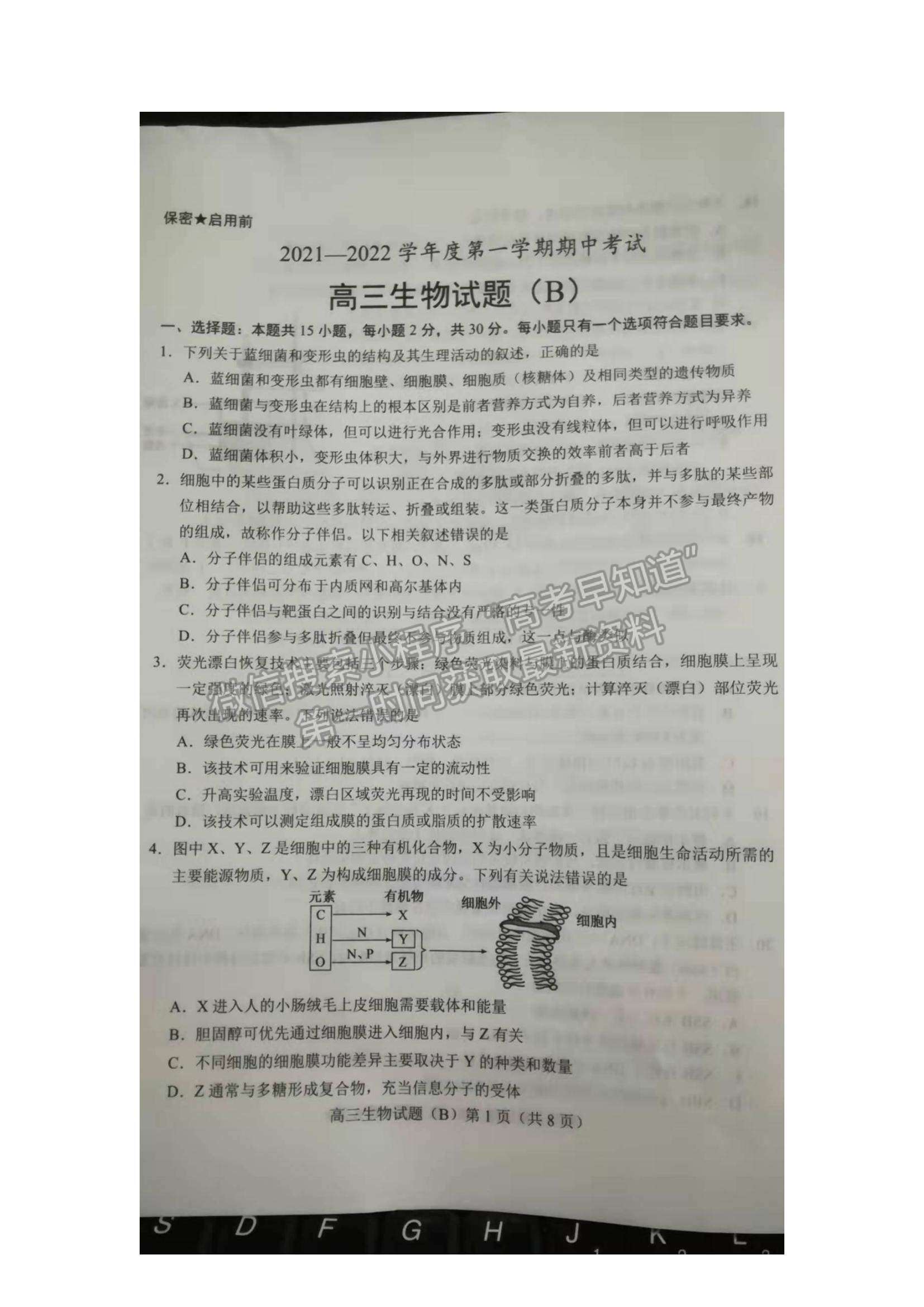 2022山東省菏澤市高三上學期期中考試生物試題及參考答案