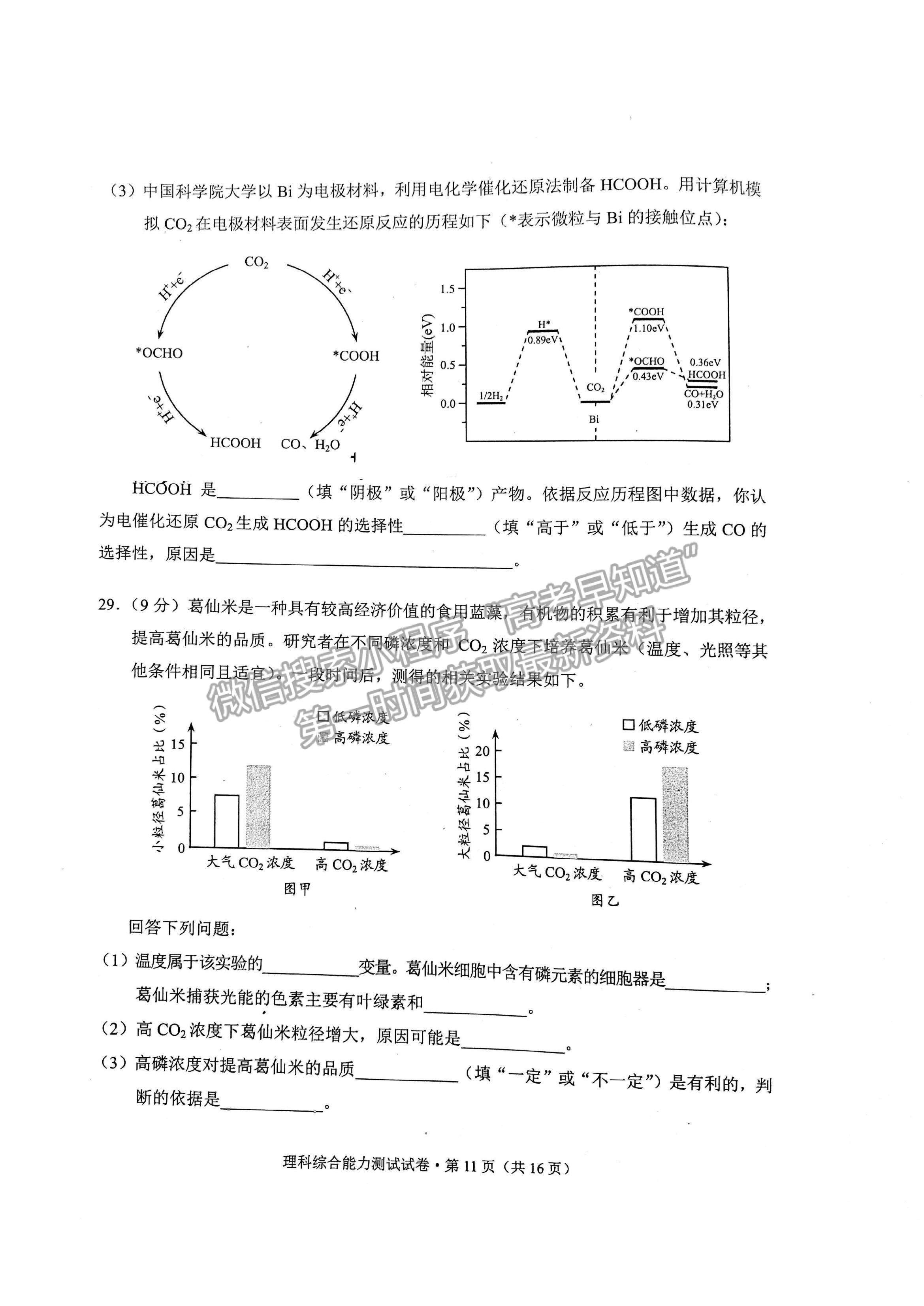 2022云南省昆明市高三“三診一?！泵自\斷測(cè)試?yán)砭C試題及參考答案