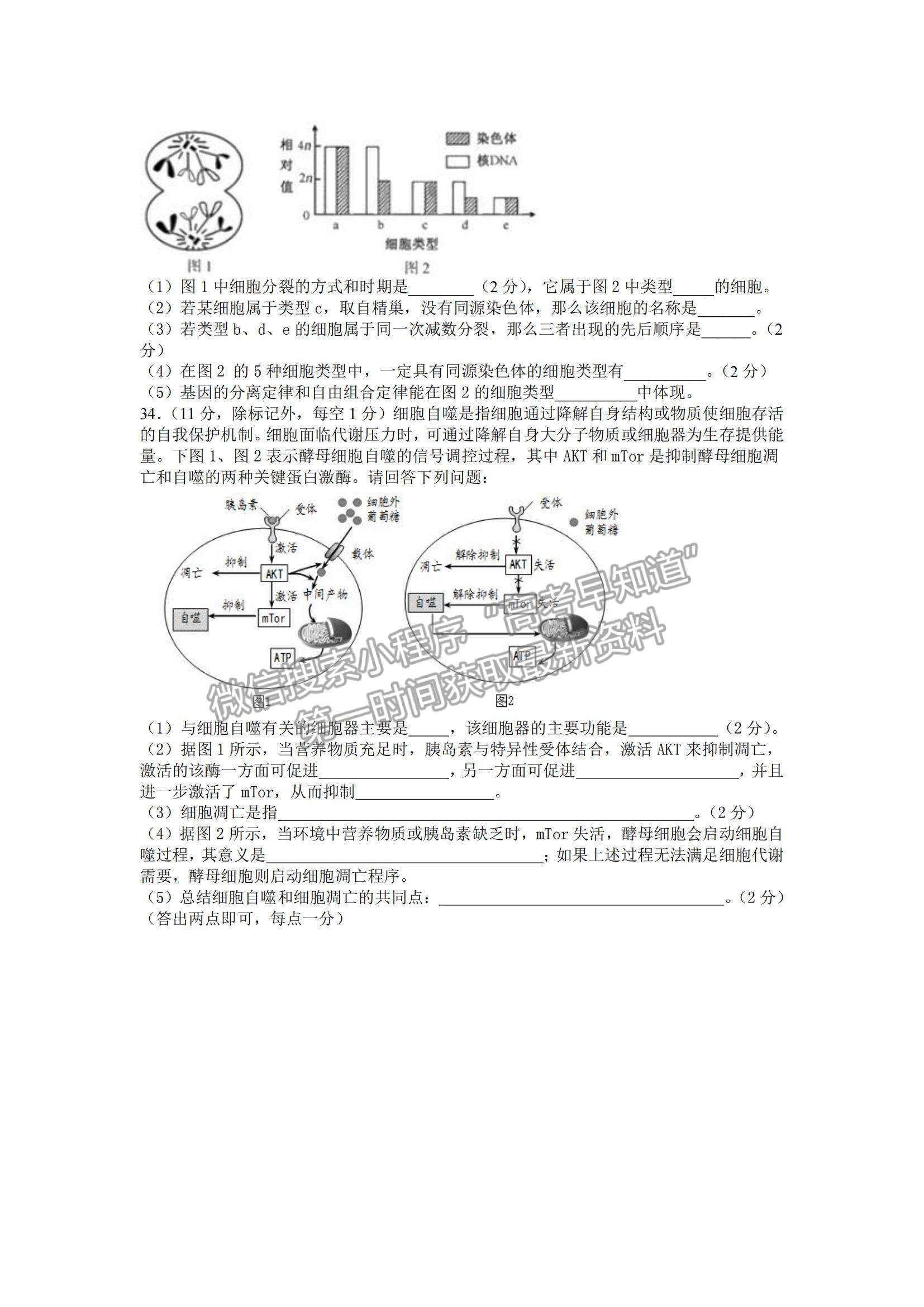 2022山西省太原五中高三第四次模塊診斷生物試題及參考答案