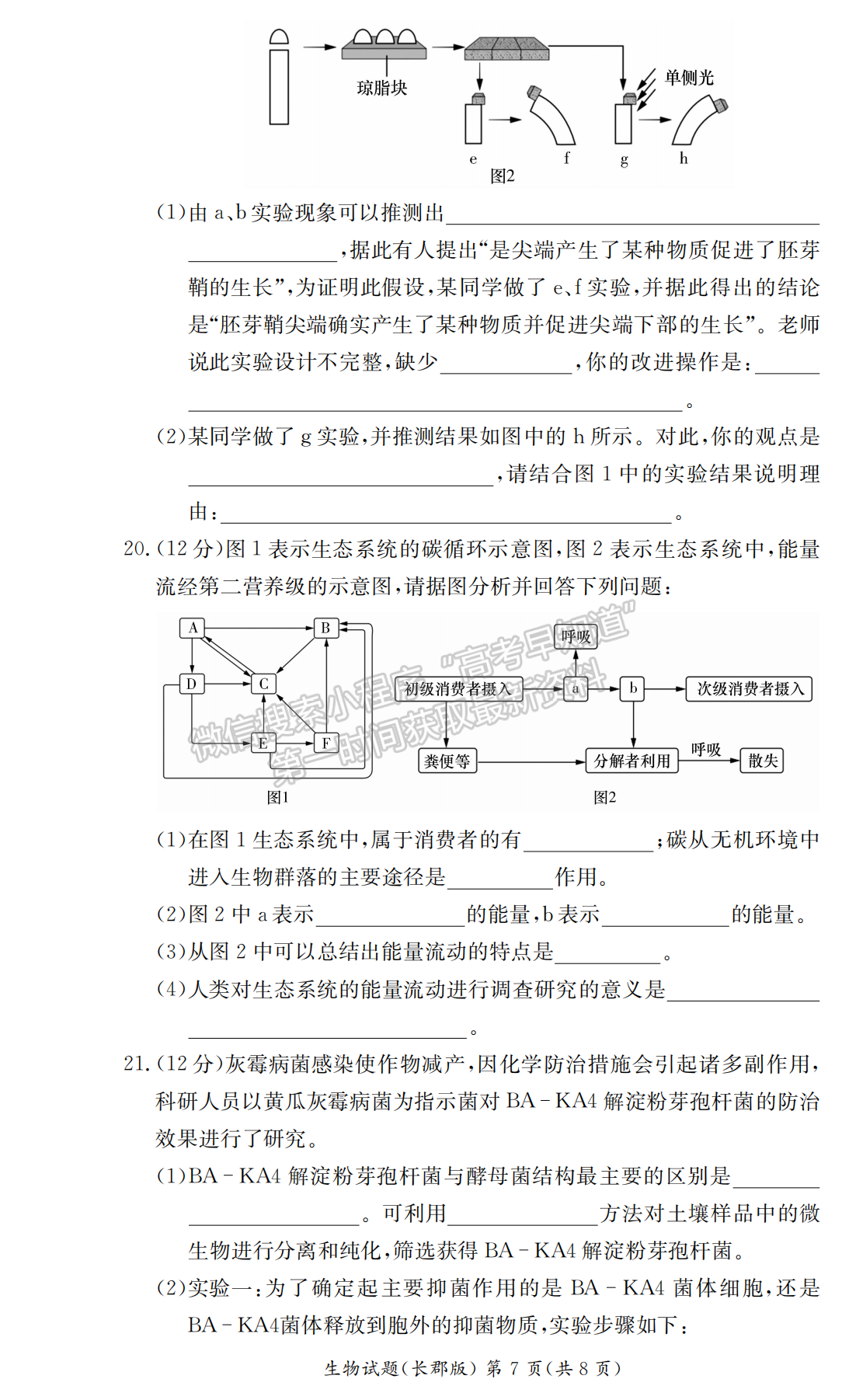 2021-2022學(xué)年長(zhǎng)郡中學(xué)高二第一學(xué)期期末考生物試題及答案