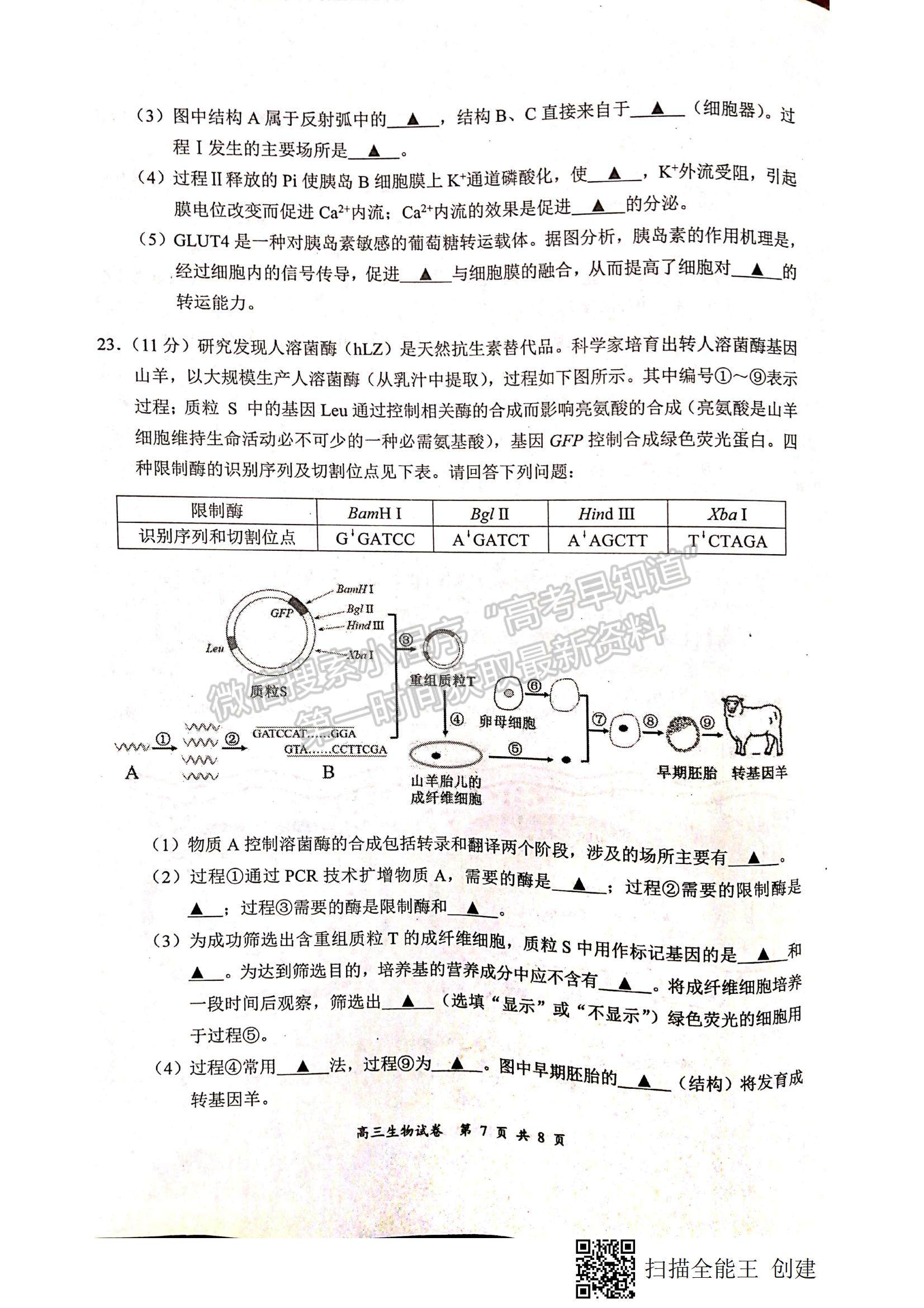 2022江蘇省鹽城、南京高三第一次模擬考試地理試題及參考答案