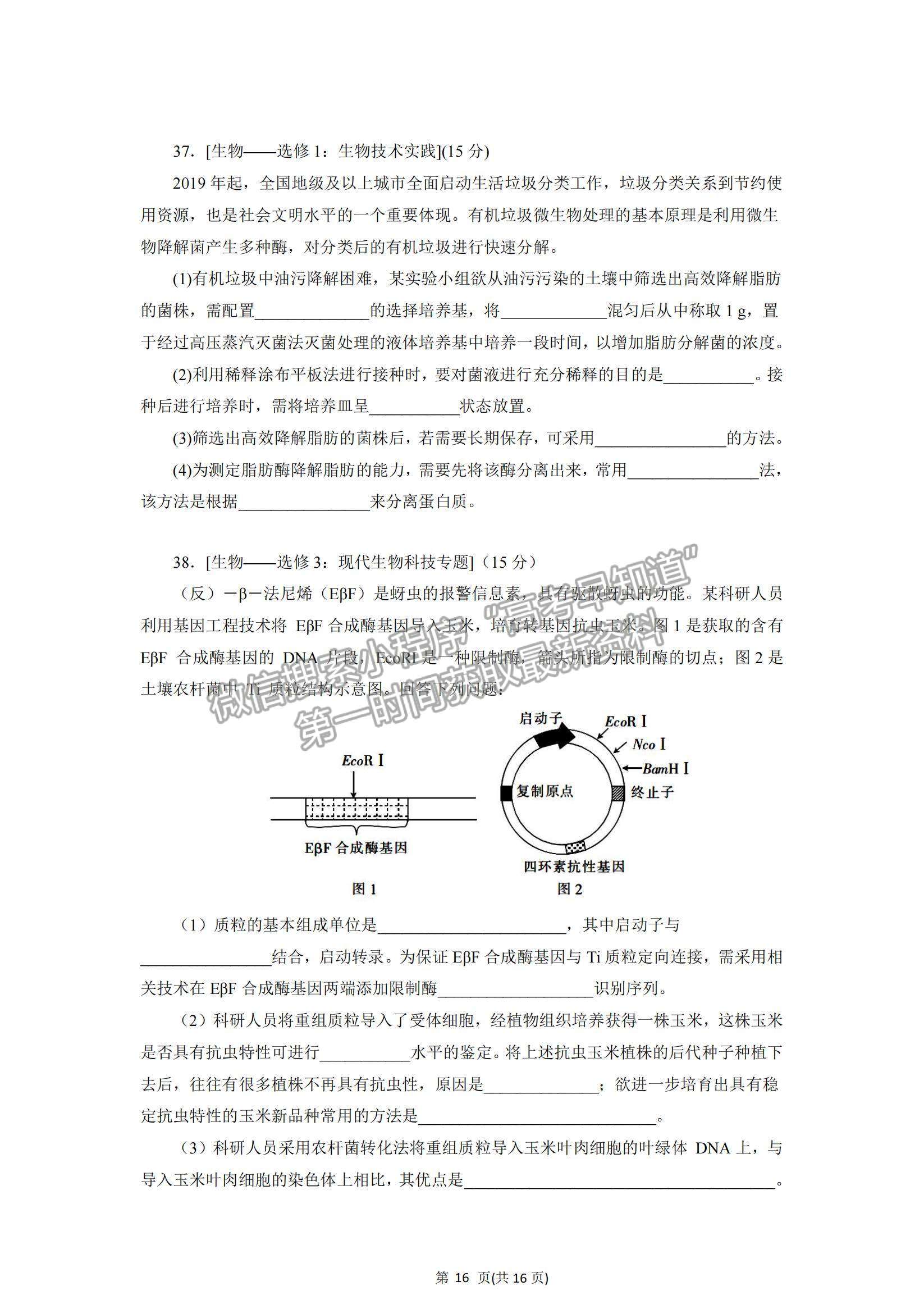 2022黑龍江省實(shí)驗(yàn)中學(xué)高三上學(xué)期第六次月考理綜試題及參考答案