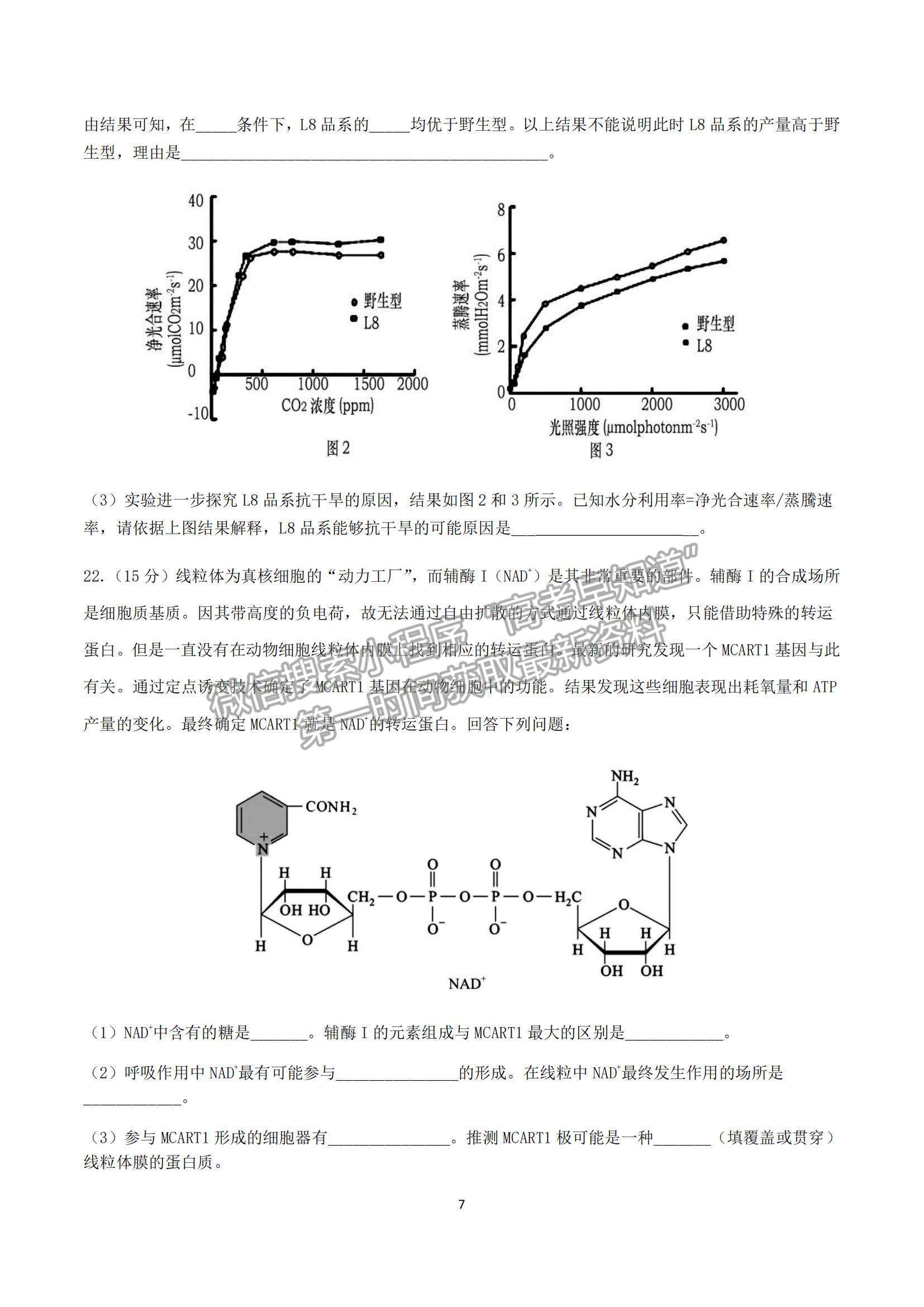 2022山東省濟(jì)南外國(guó)語(yǔ)學(xué)校高三上學(xué)期11月月考生物試題及參考答案