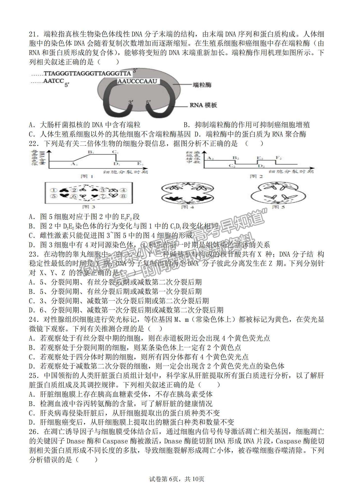 2022山西大學附屬中學高三上學期10月模塊診斷考試生物試題及參考答案