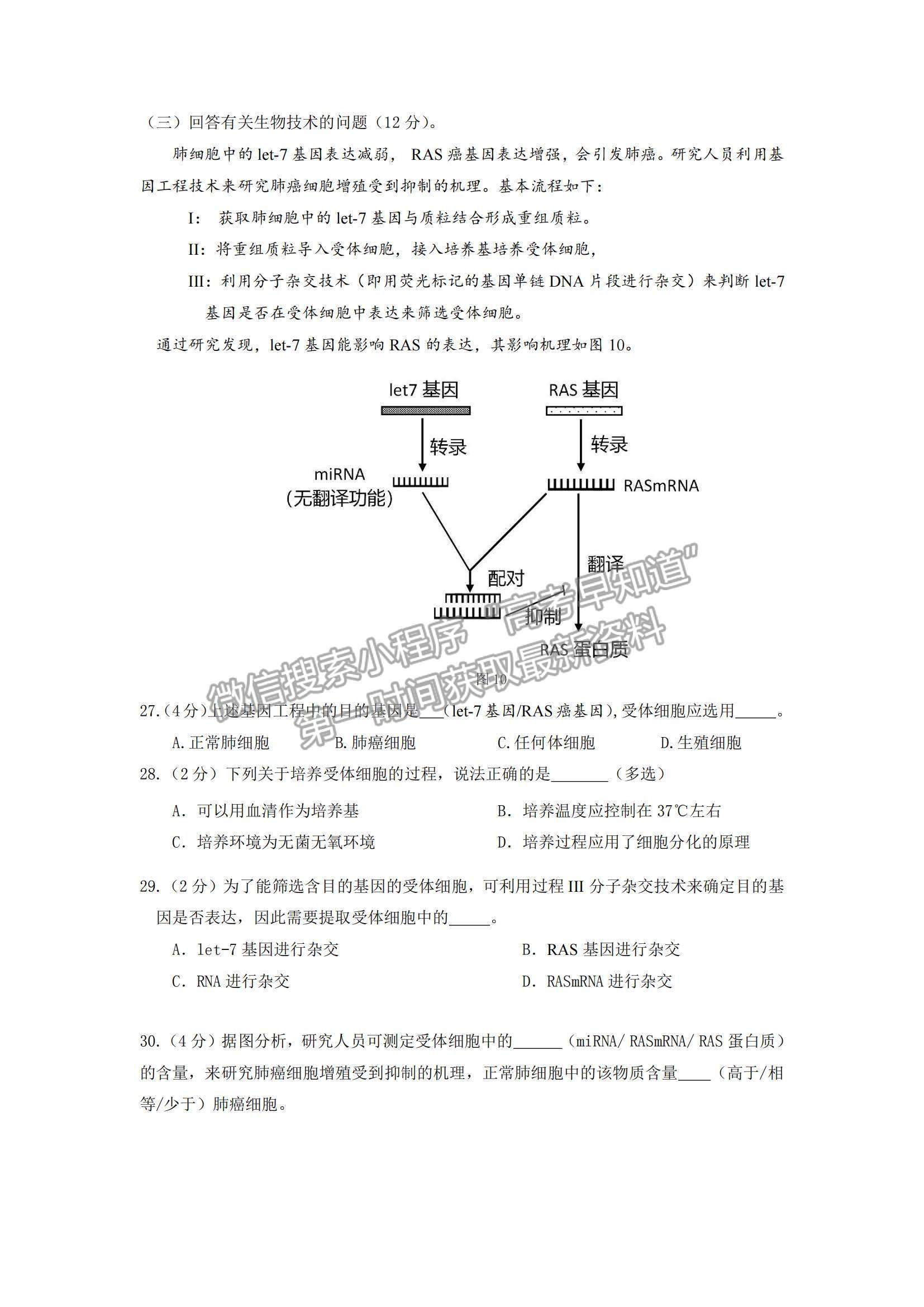 2022上海市嘉定區(qū)高三第一次質(zhì)量調(diào)研（一模）生物試題及參考答案