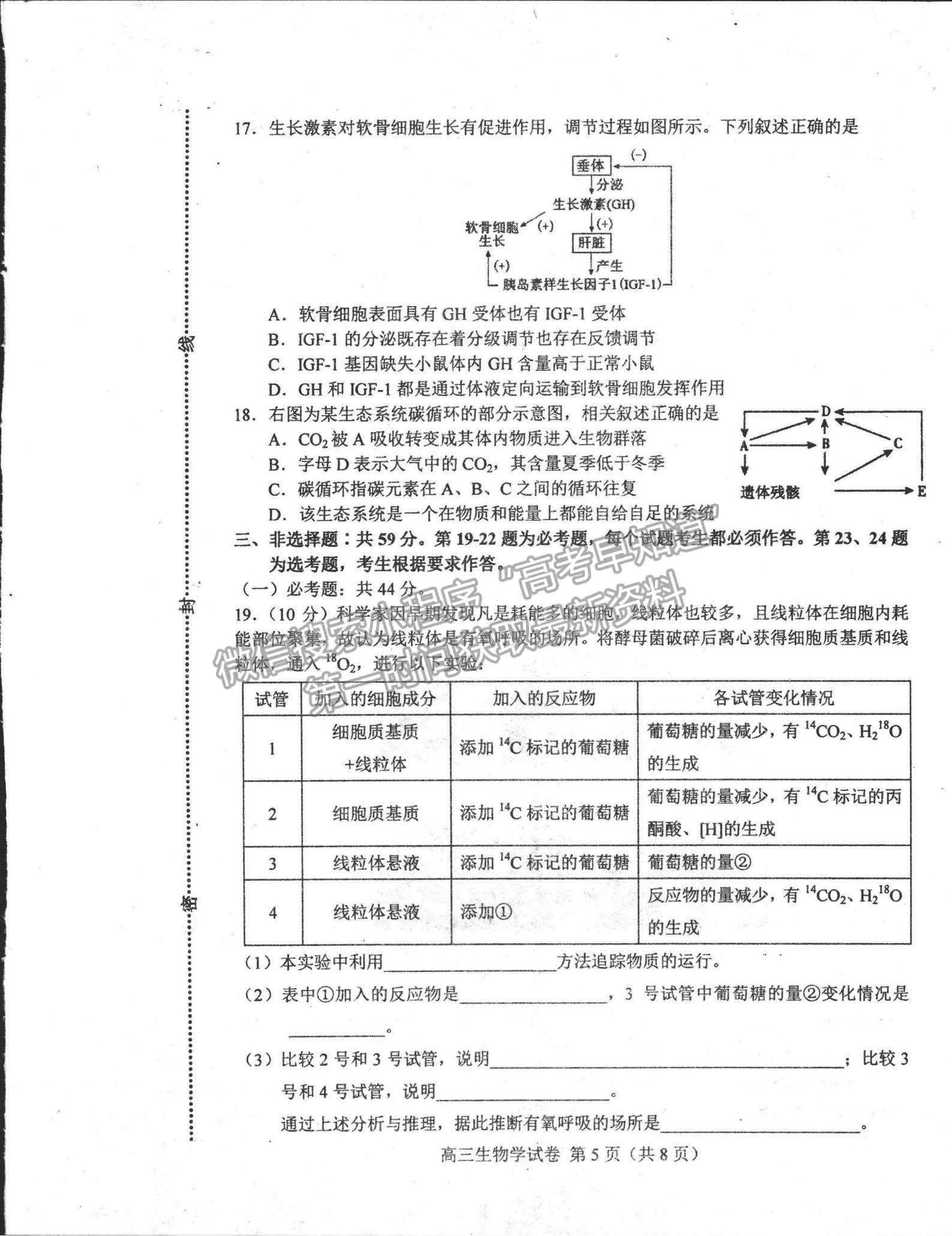 2022河北省唐山市高三上學(xué)期期末考試生物試題及參考答案