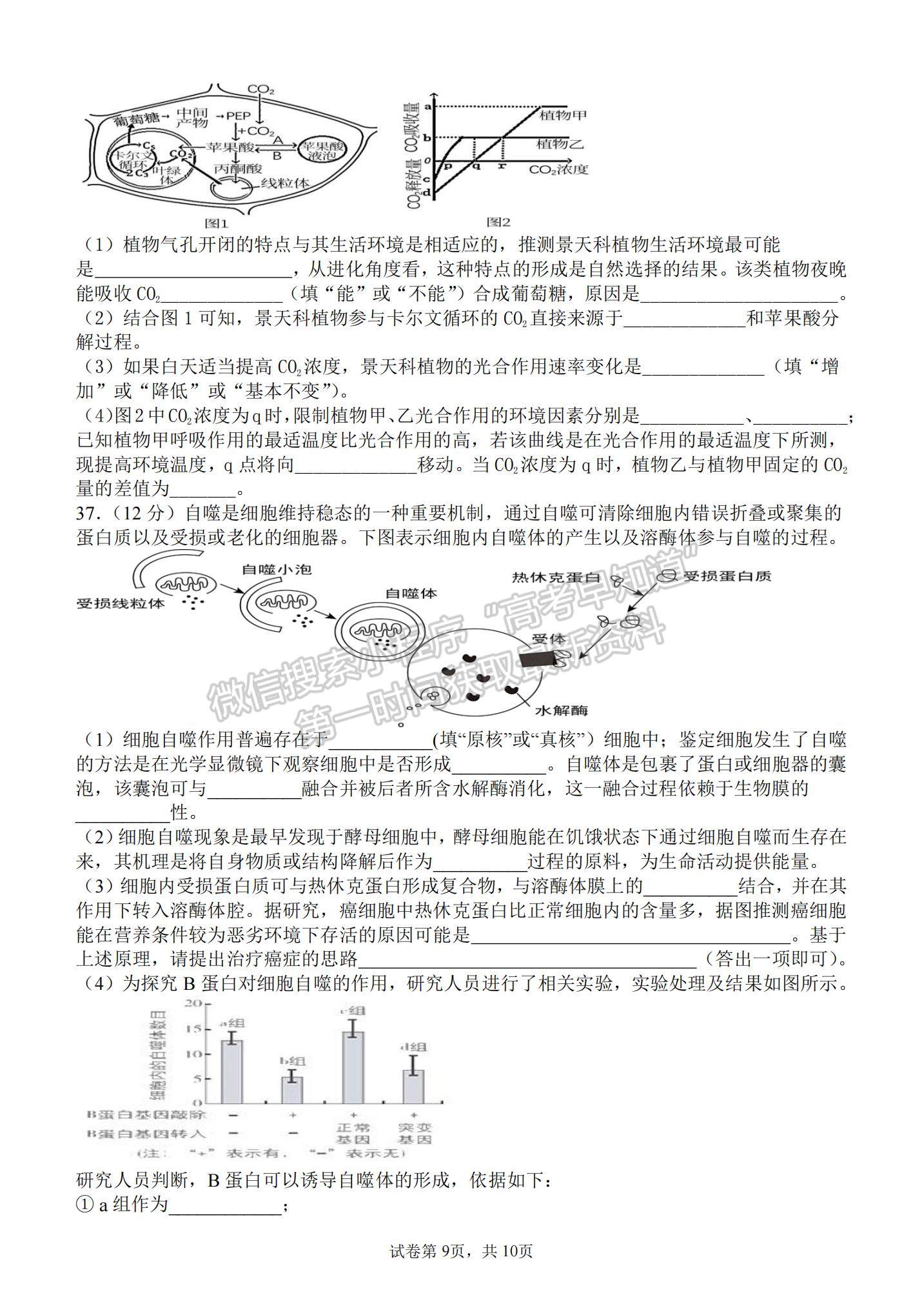 2022山西大學(xué)附屬中學(xué)高三上學(xué)期10月模塊診斷考試生物試題及參考答案