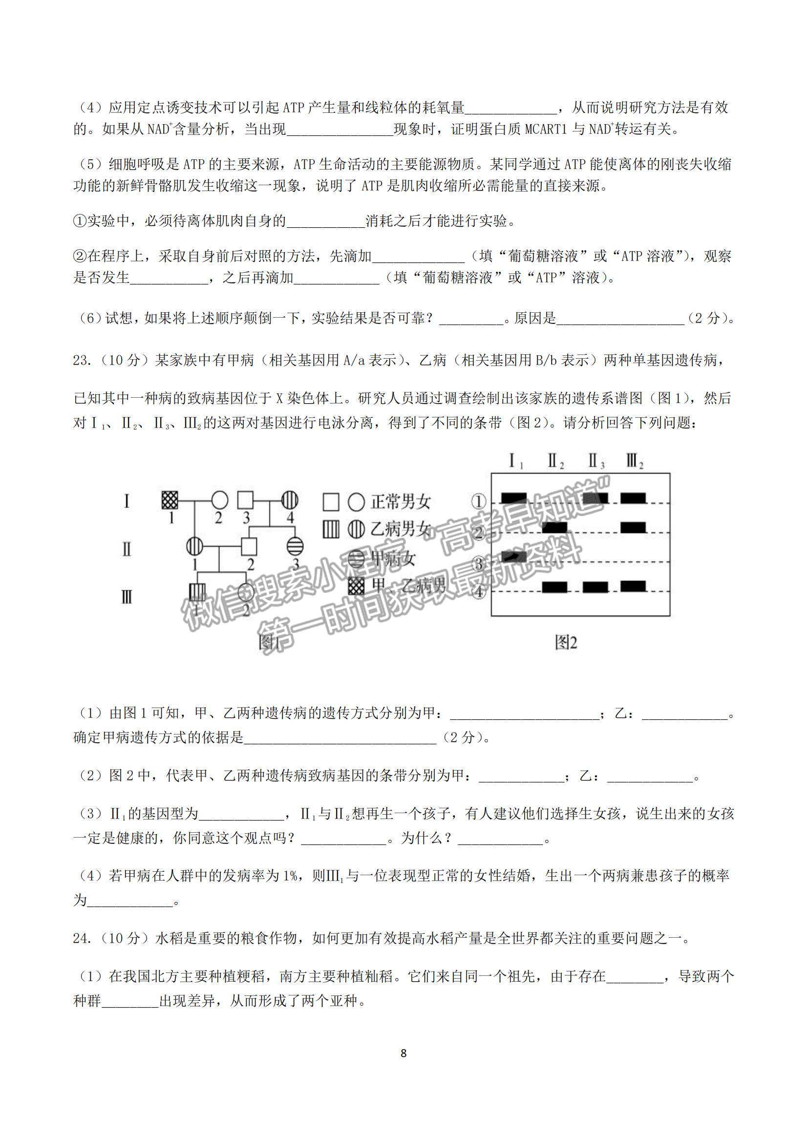 2022山東省濟(jì)南外國語學(xué)校高三上學(xué)期11月月考生物試題及參考答案